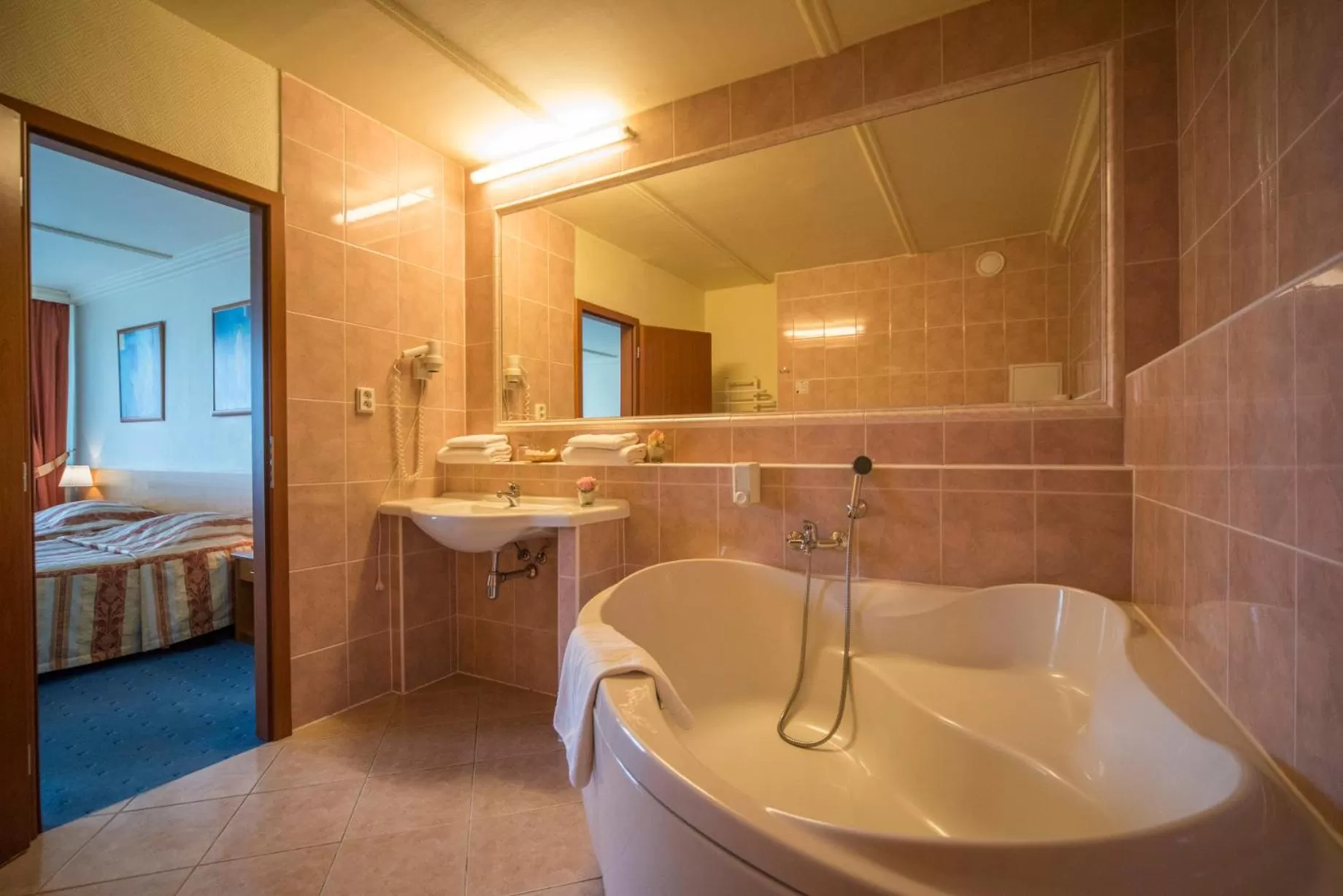 Other in TOP HOTEL Praha