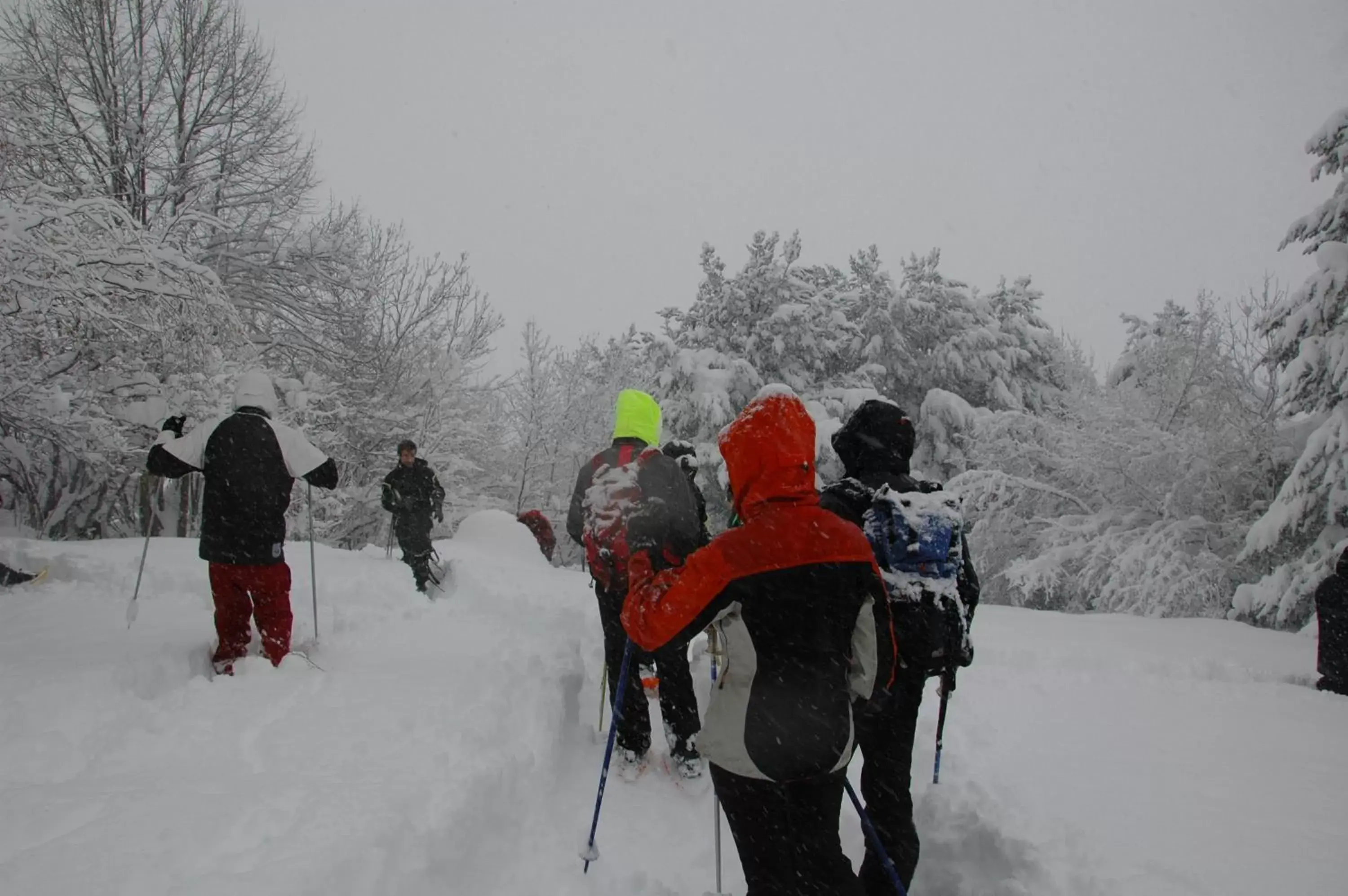 Skiing, Winter in Hotel Aran La Abuela