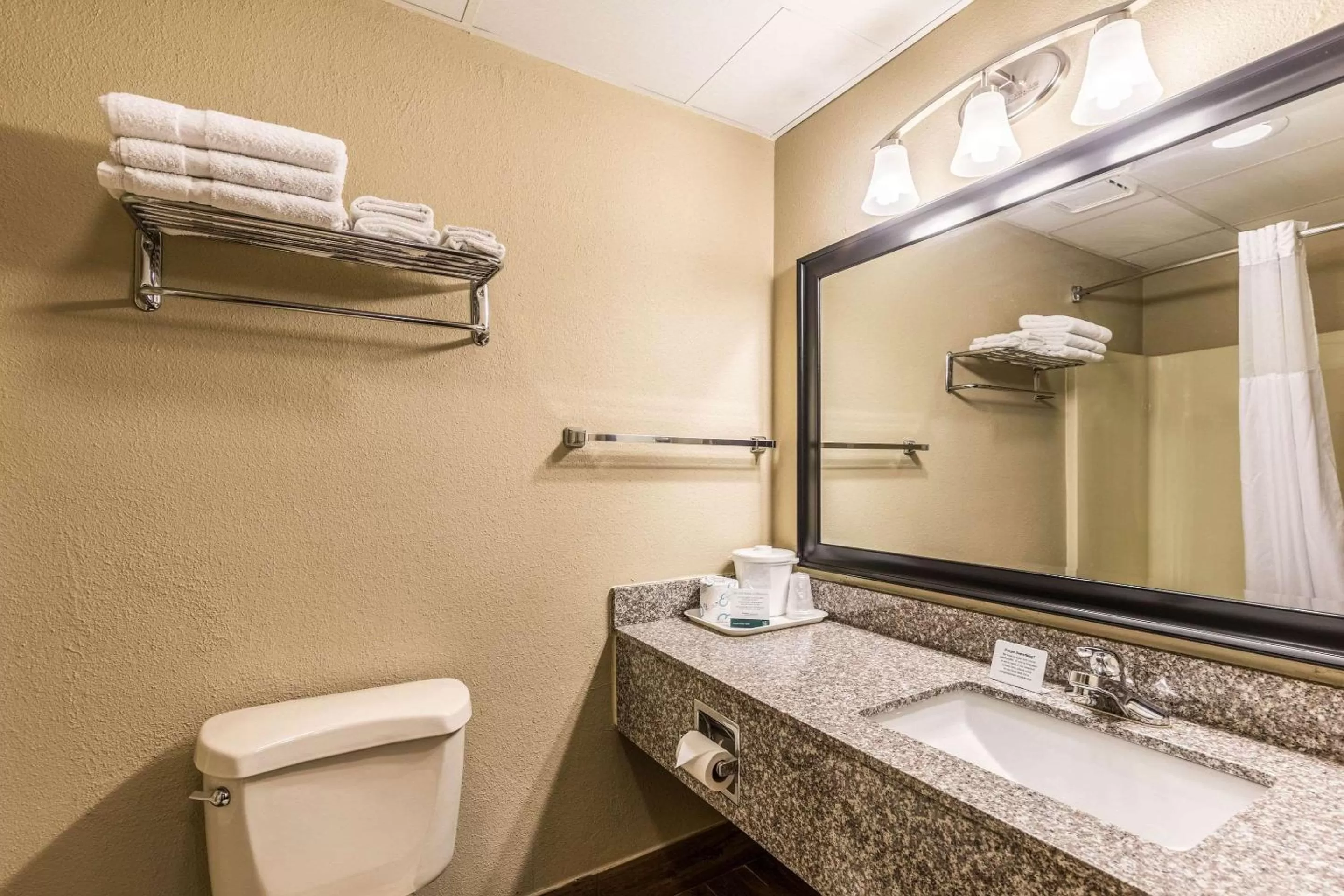 Bathroom in Quality Inn West Plains