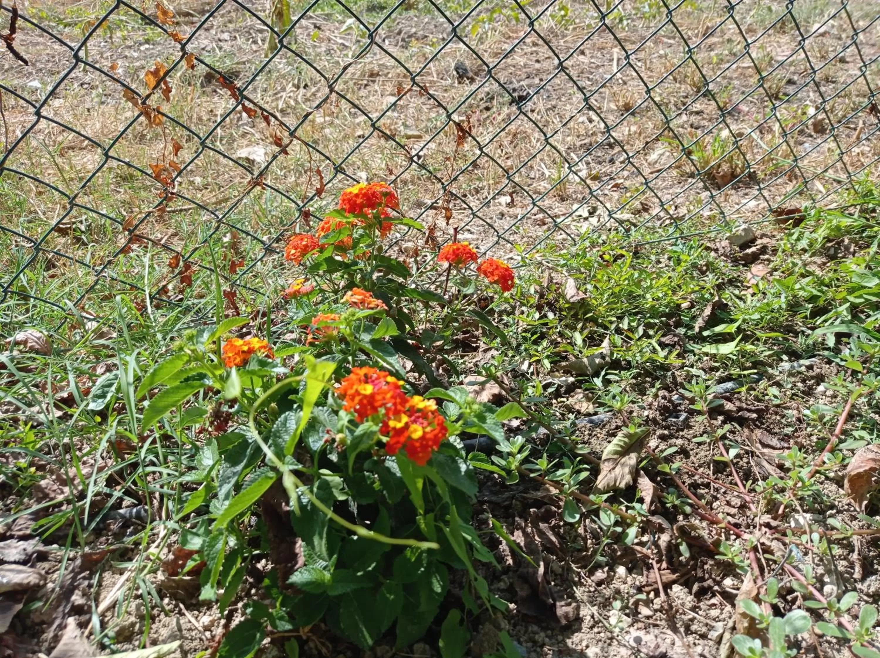 La Casa di Tara B&B Armonia e Natura