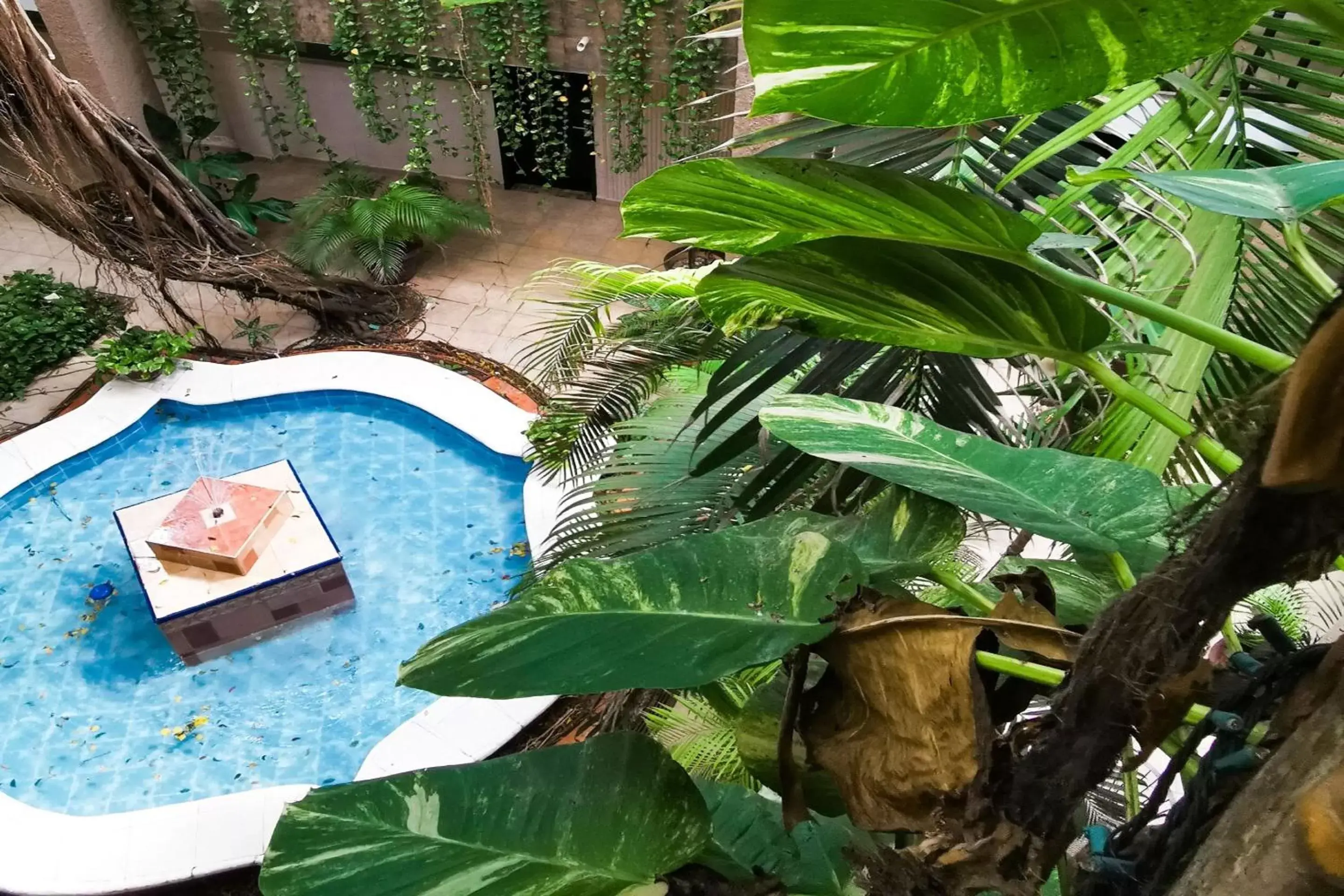 Swimming pool, Pool View in Grand Hotel Colonial Cancun