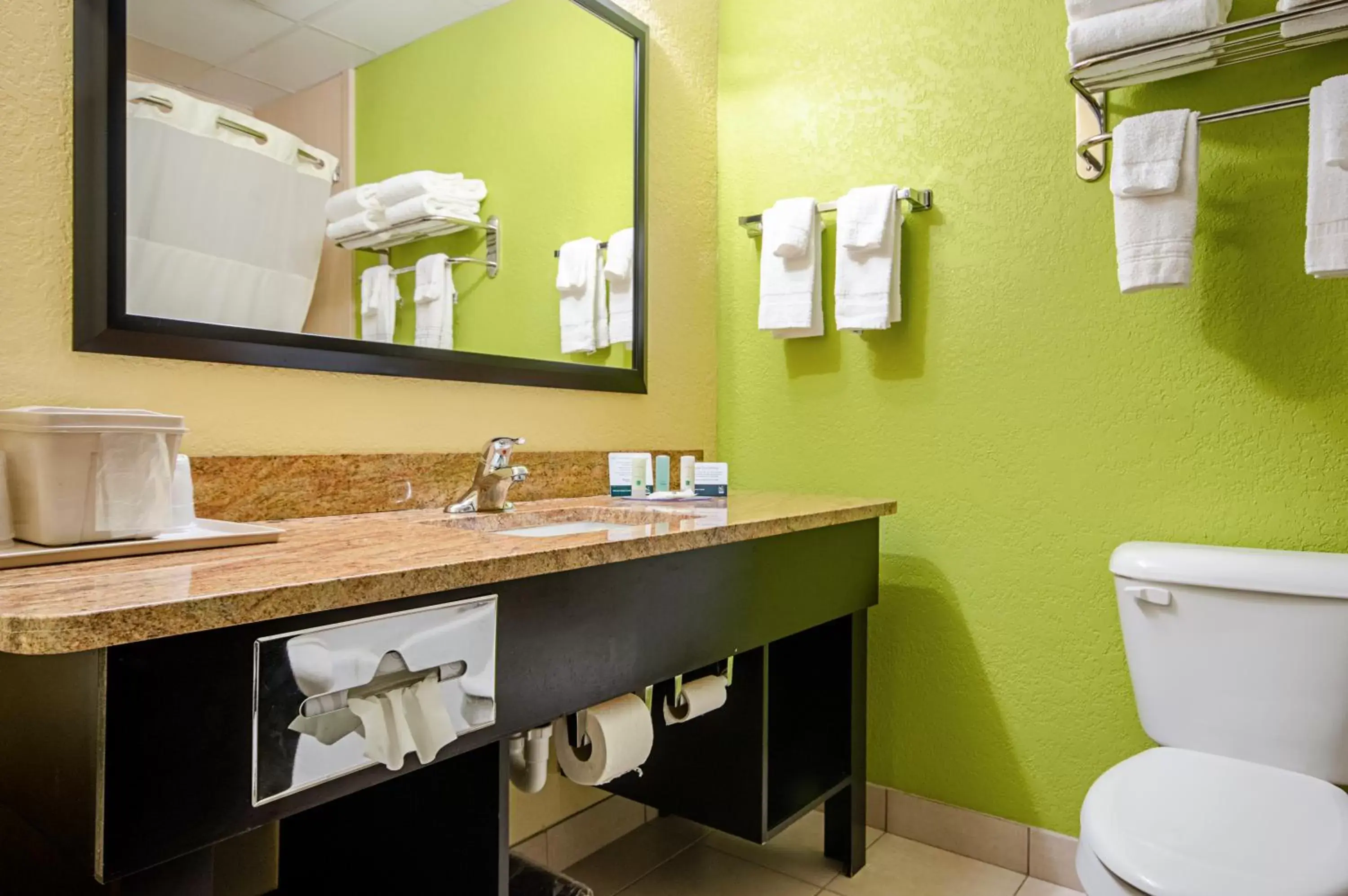 Bathroom in Quality Inn & Suites Glenmont - Albany South