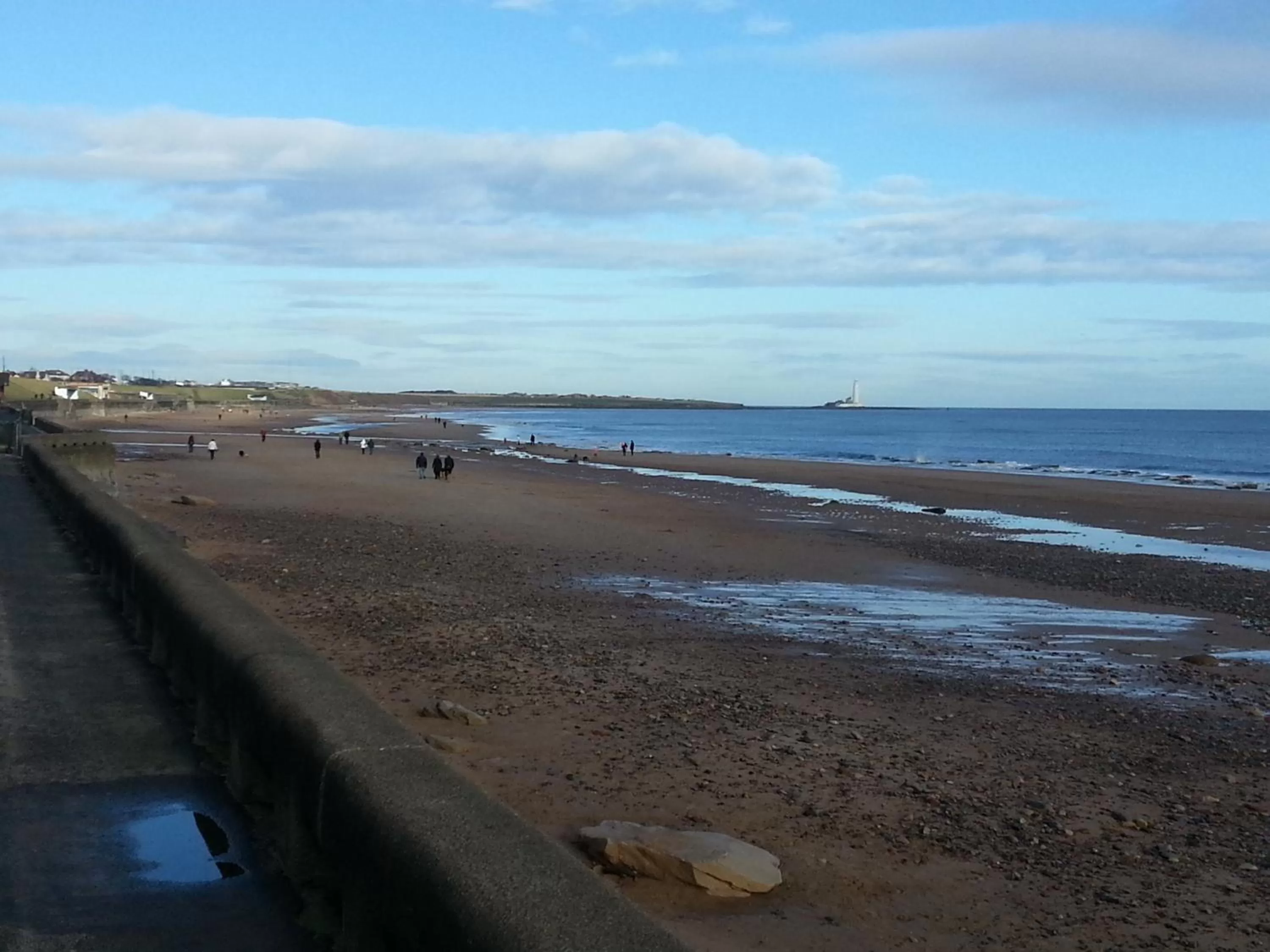 Natural landscape in The Windsor Hotel