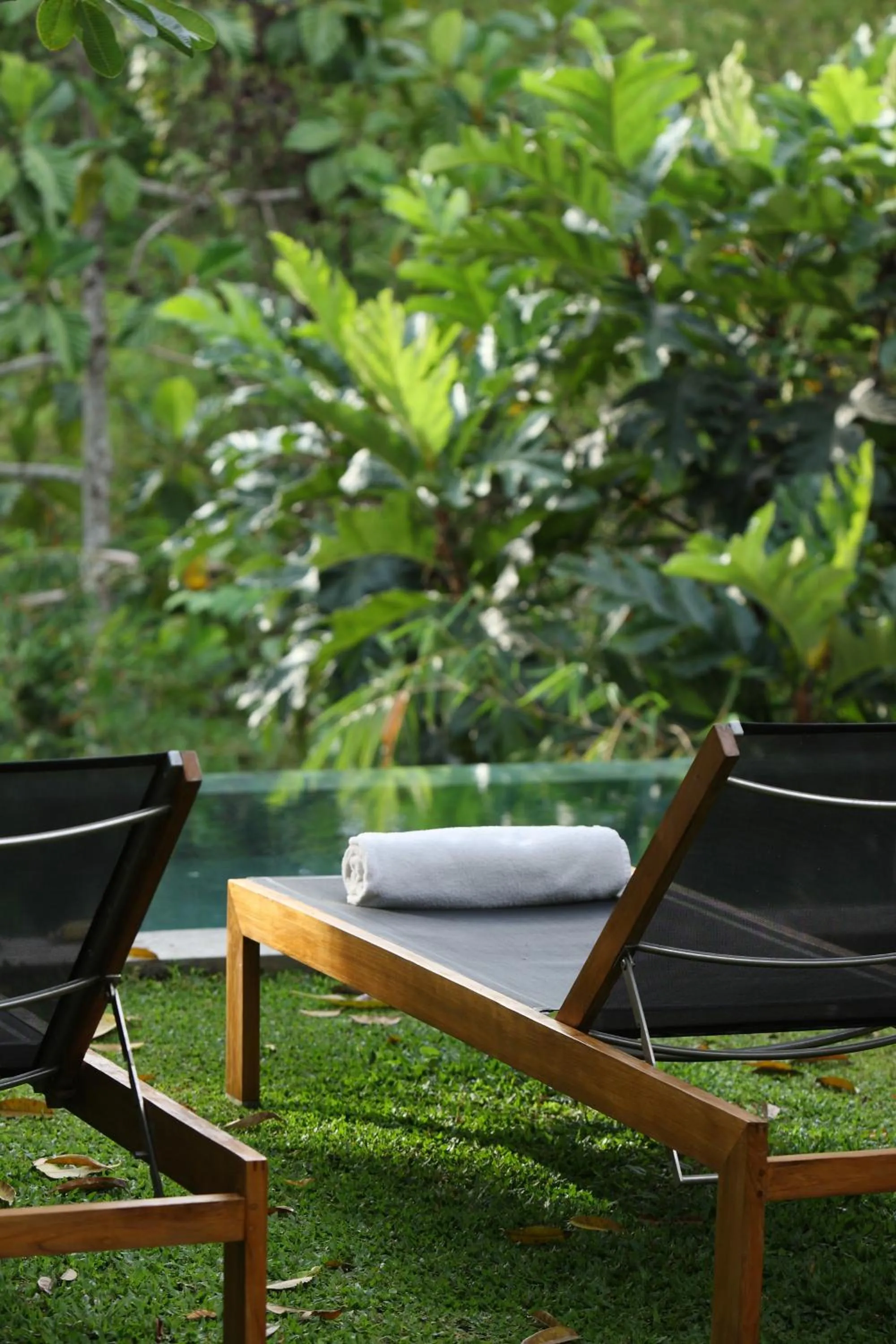 Natural landscape in Aria Villas Ubud