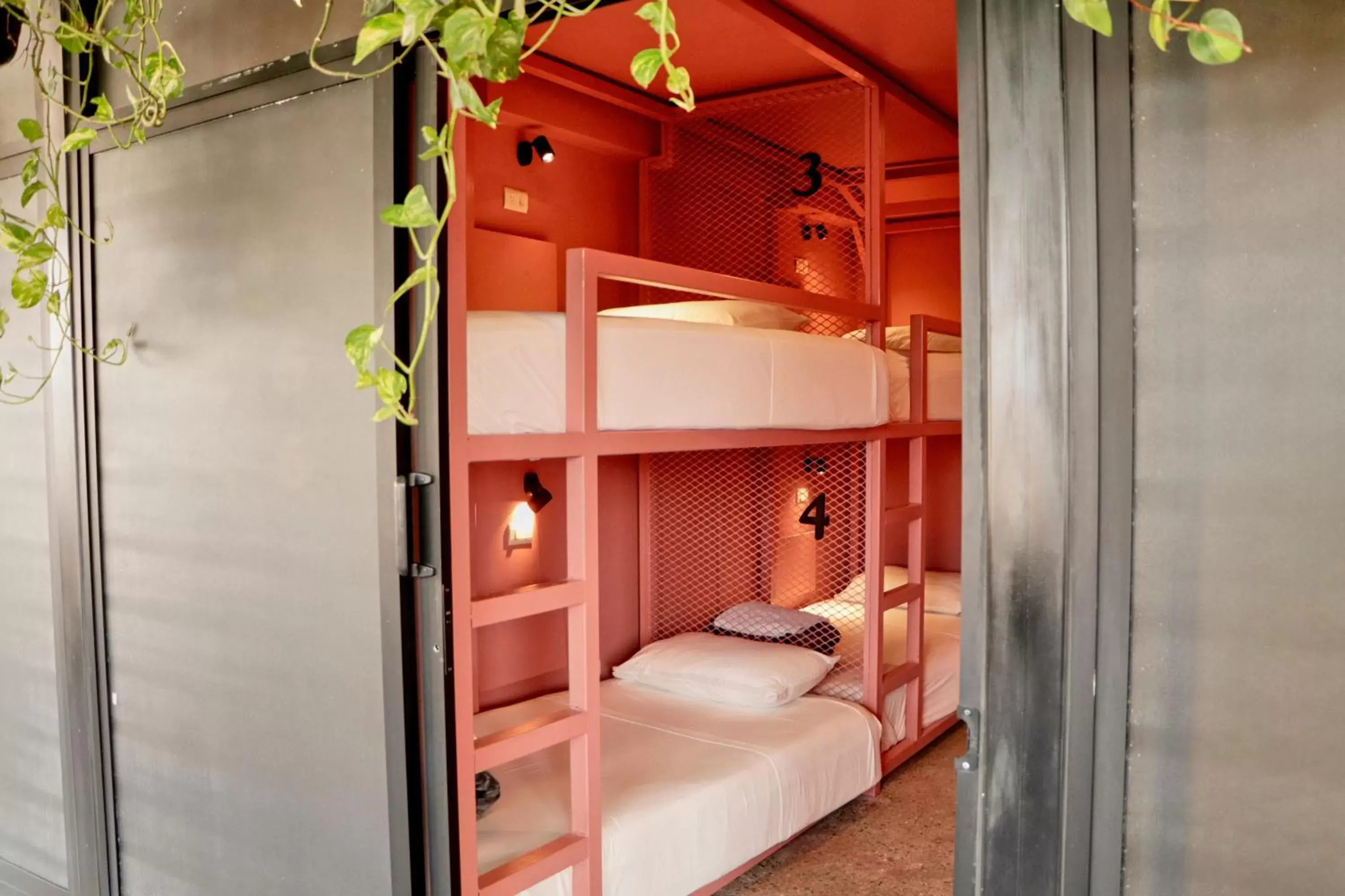 Bunk Bed in Casa Nomada Hotel - Hostal