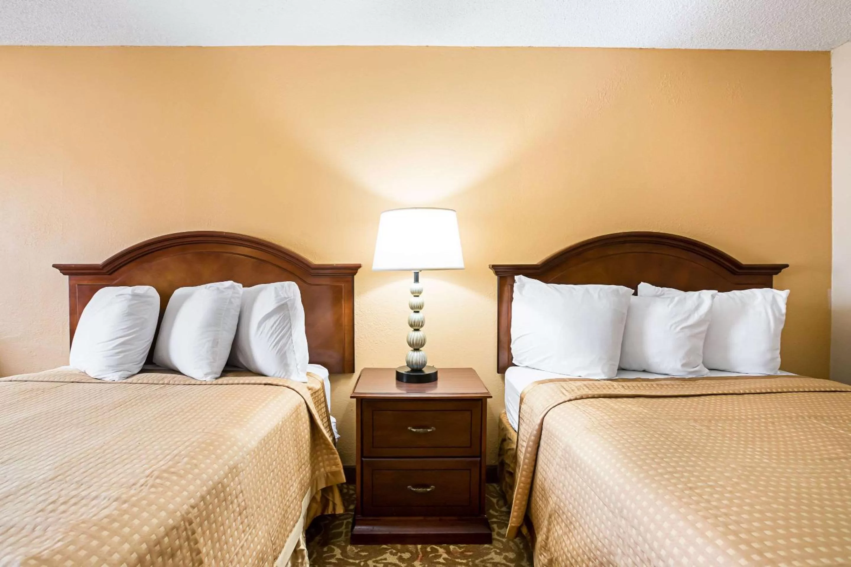 Photo of the whole room, Bed in Rodeway Inn Metro Airport