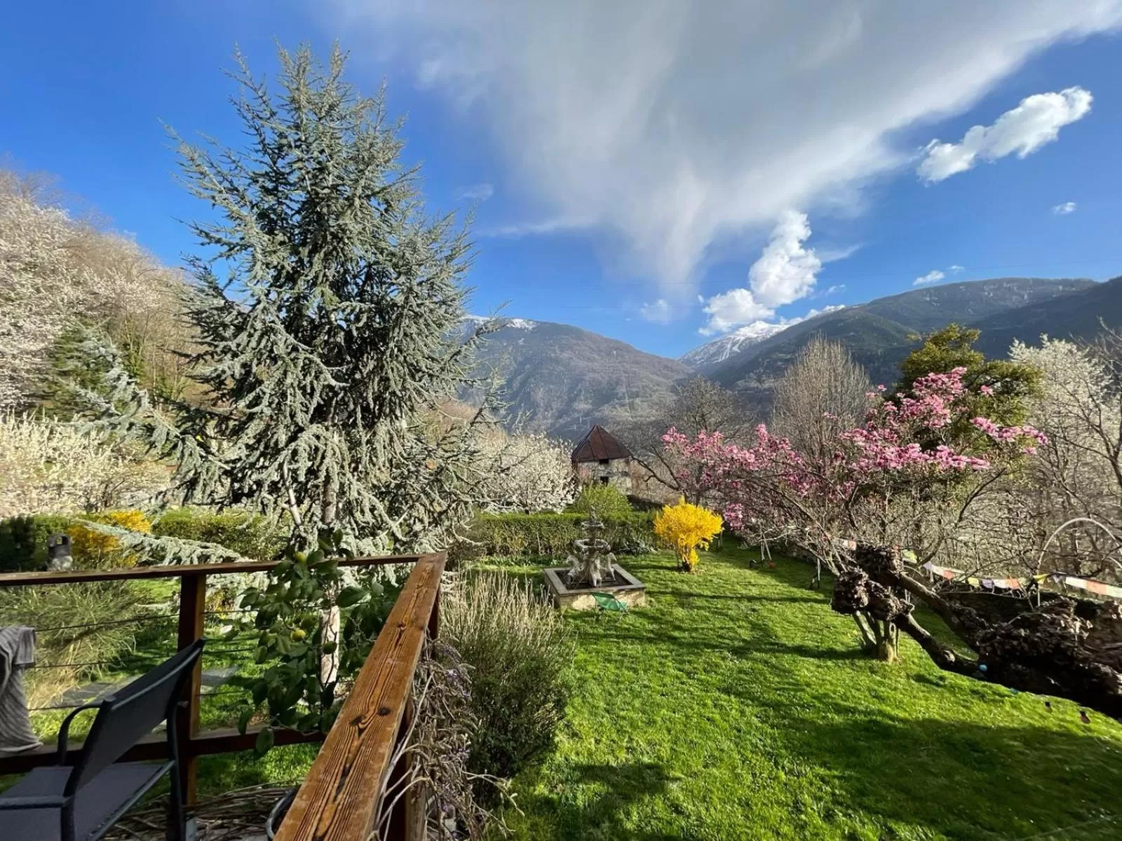 Garden in Château du Vigny - Maison d'hôtes