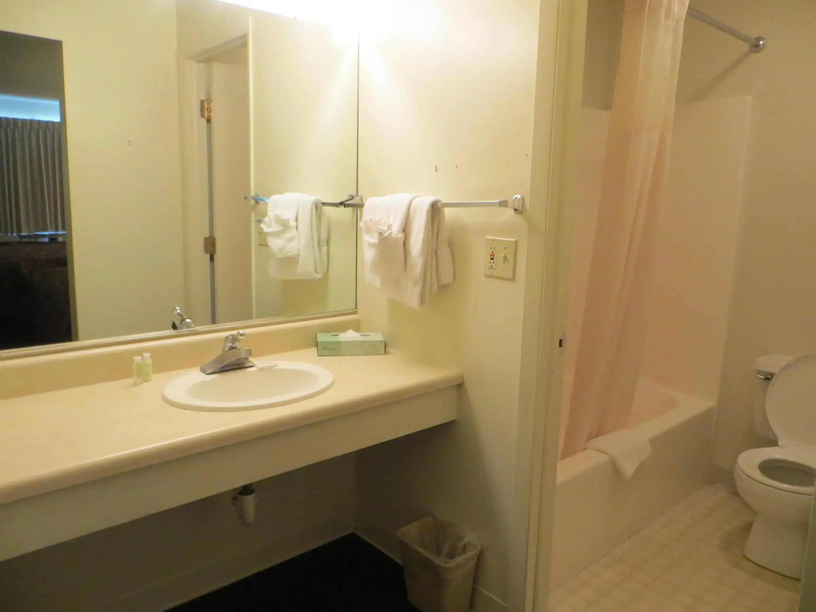 Shower, Bathroom in Waterfront Inn Mackinaw City