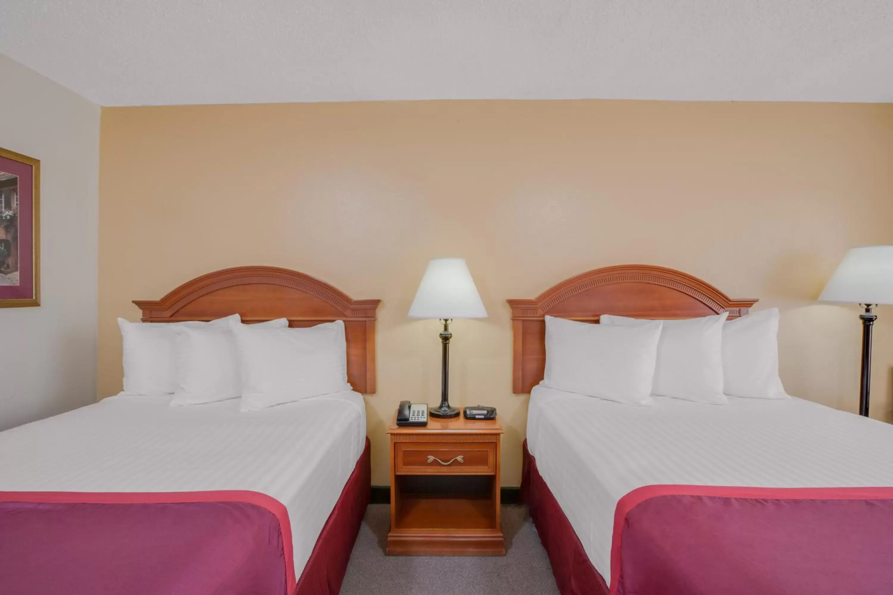Bed in Days Inn by Wyndham Asheville West