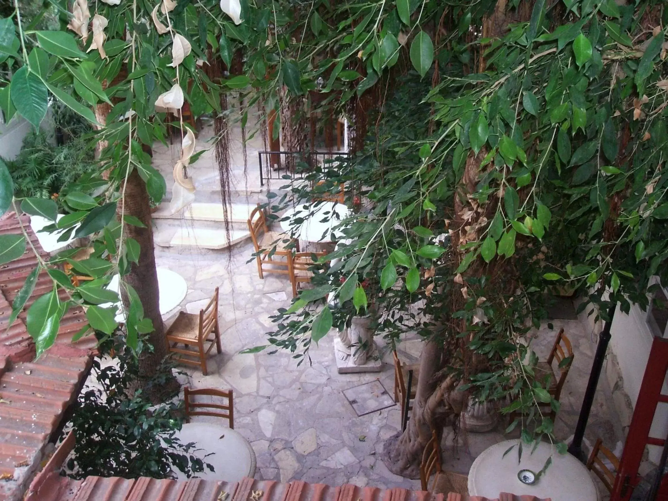 Garden, Restaurant/Places to Eat in Kiniras Traditional Hotel & Restaurant