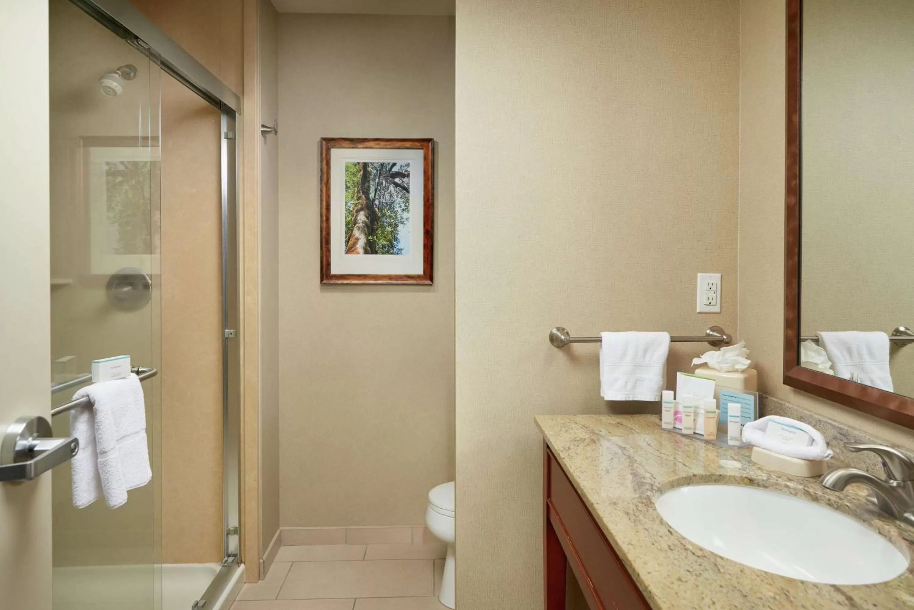 Bathroom in Hampton Inn and Suites Salem