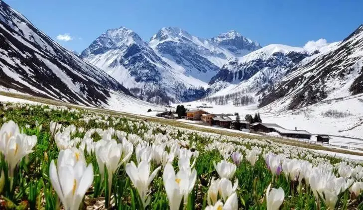 Nearby landmark, Winter in AMERON Davos Swiss Mountain Resort