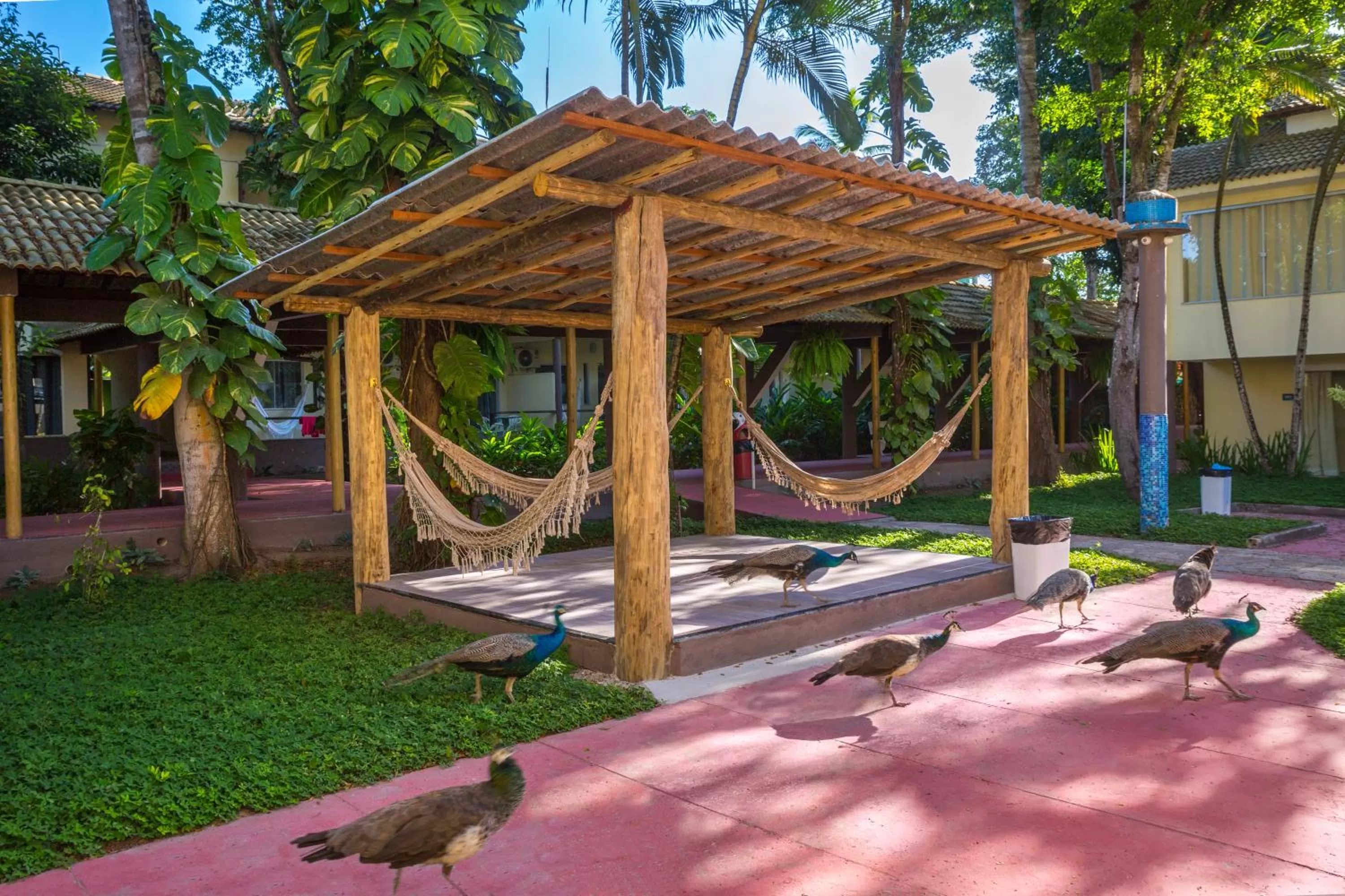 Day in Floral Inn Family