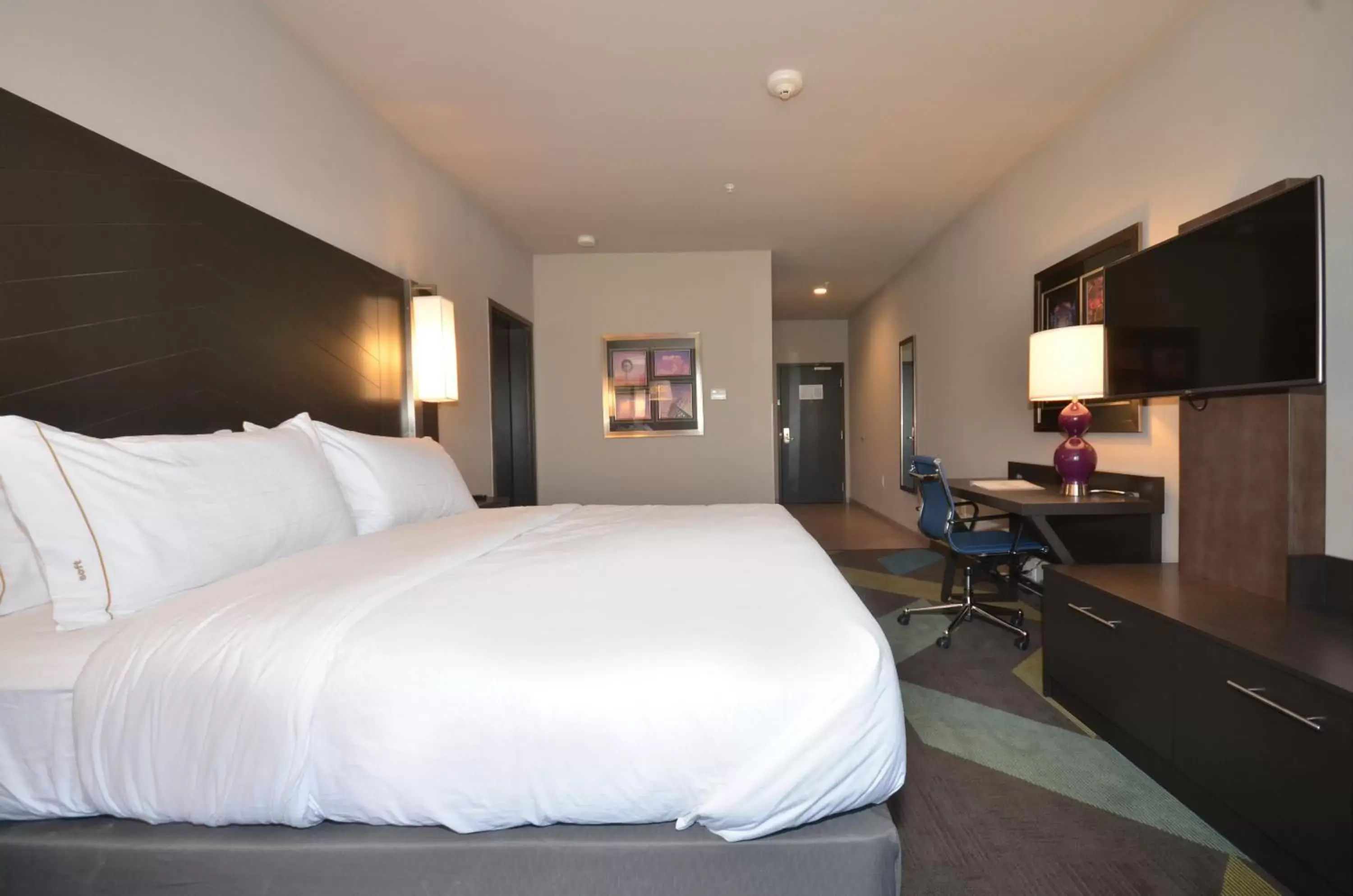 Photo of the whole room, Bed in Holiday Inn Express & Suites Oklahoma City Mid - Arpt Area, an IHG Hotel