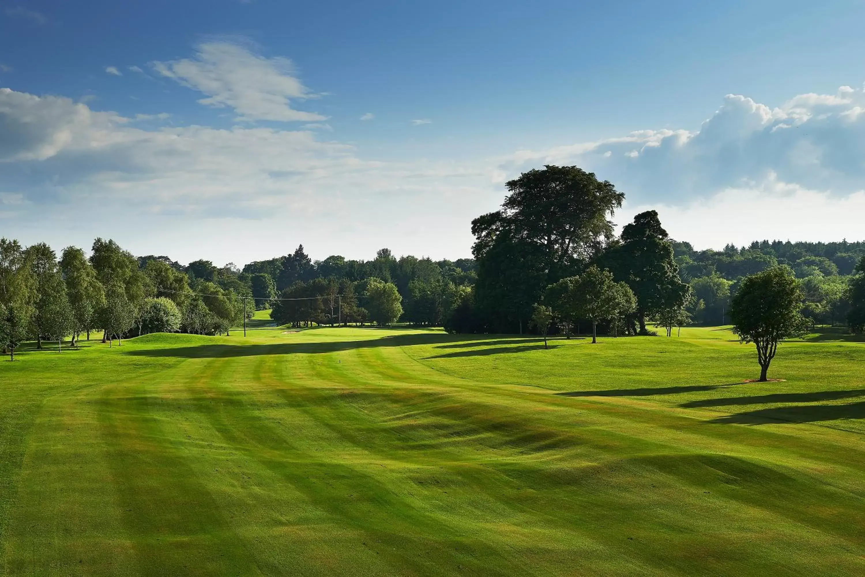 Golfcourse, Golf in Ballymascanlon Hotel and Golf Resort