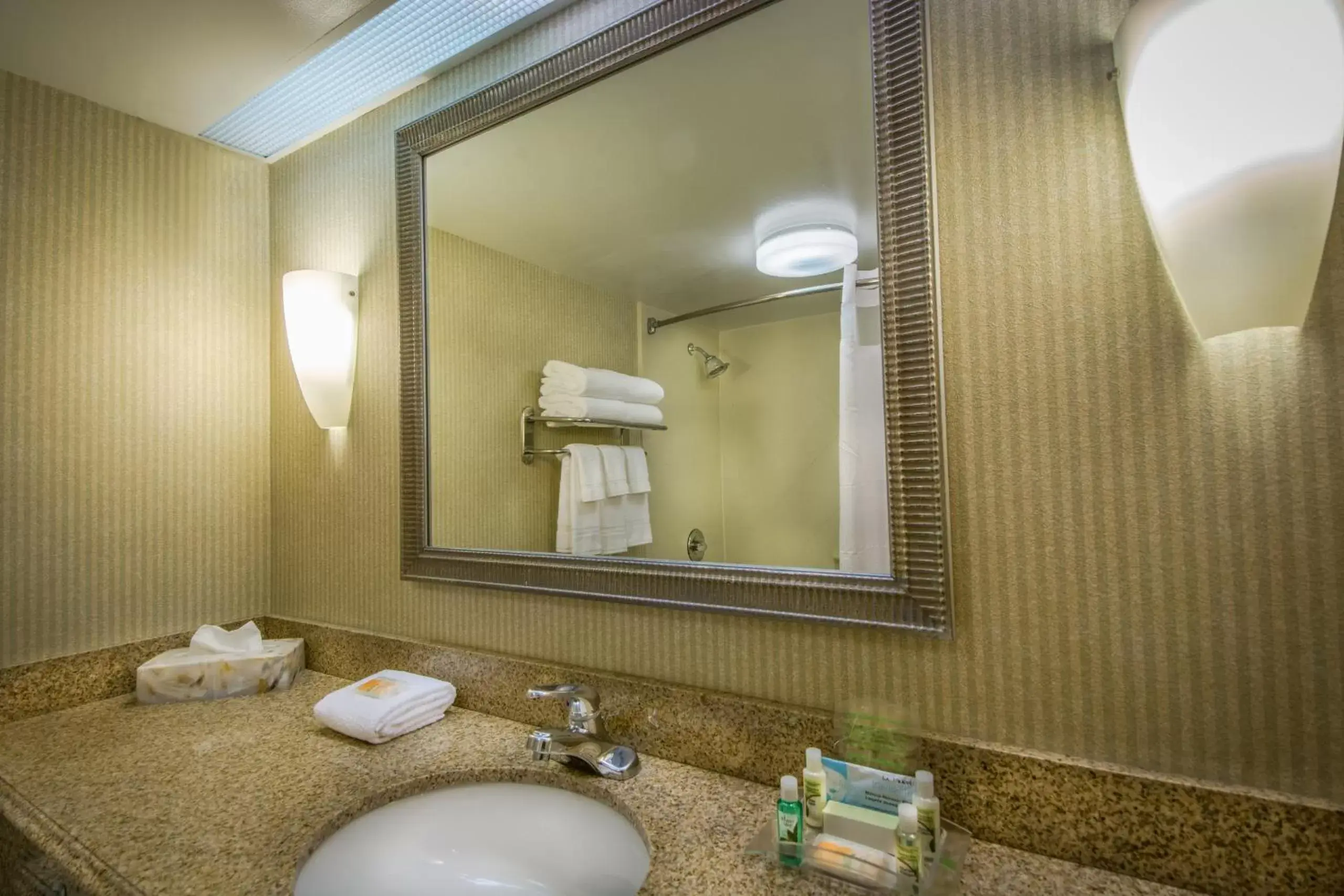 Bathroom in Holiday Inn Arlington at Ballston, an IHG Hotel