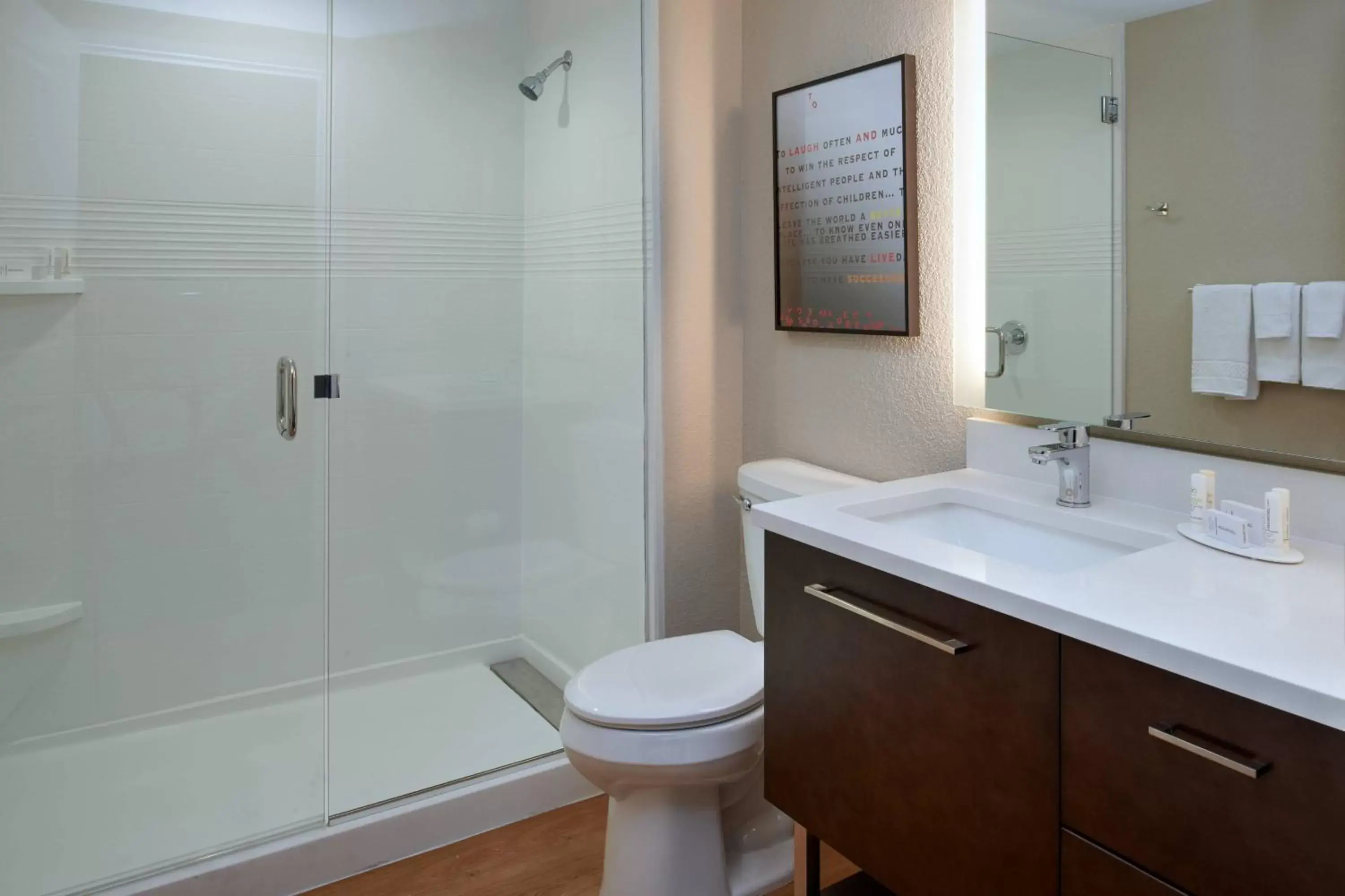 Bathroom in TownePlace Suites by Marriott Richmond