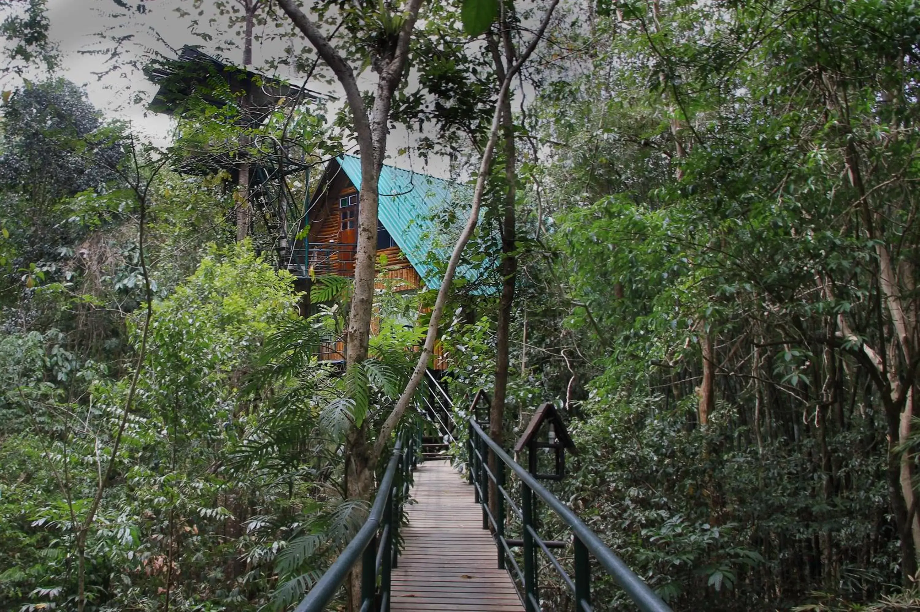 Property building in Khao Sok Tree House Resort Property building in Khao Sok Tree House Resort