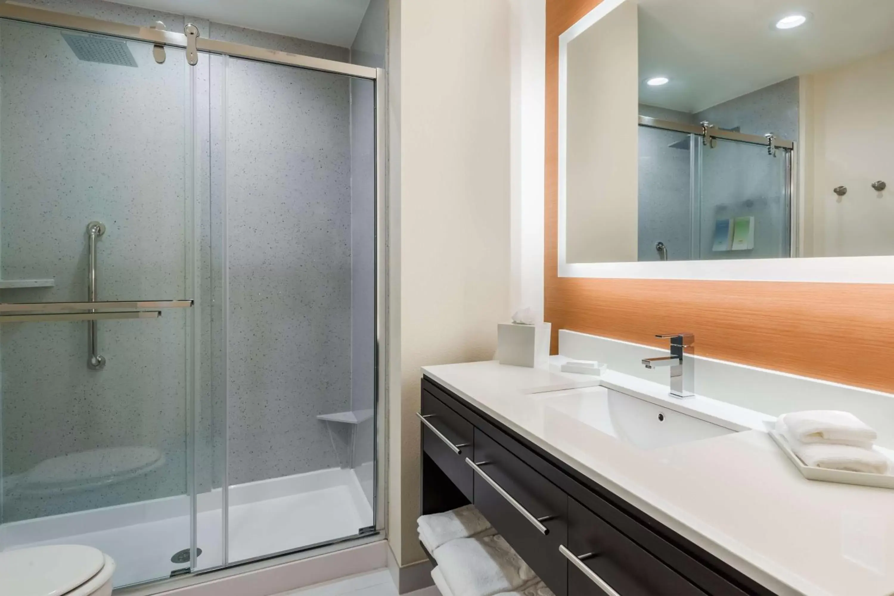 Bathroom in Home2 Suites by Hilton Atlanta Downtown