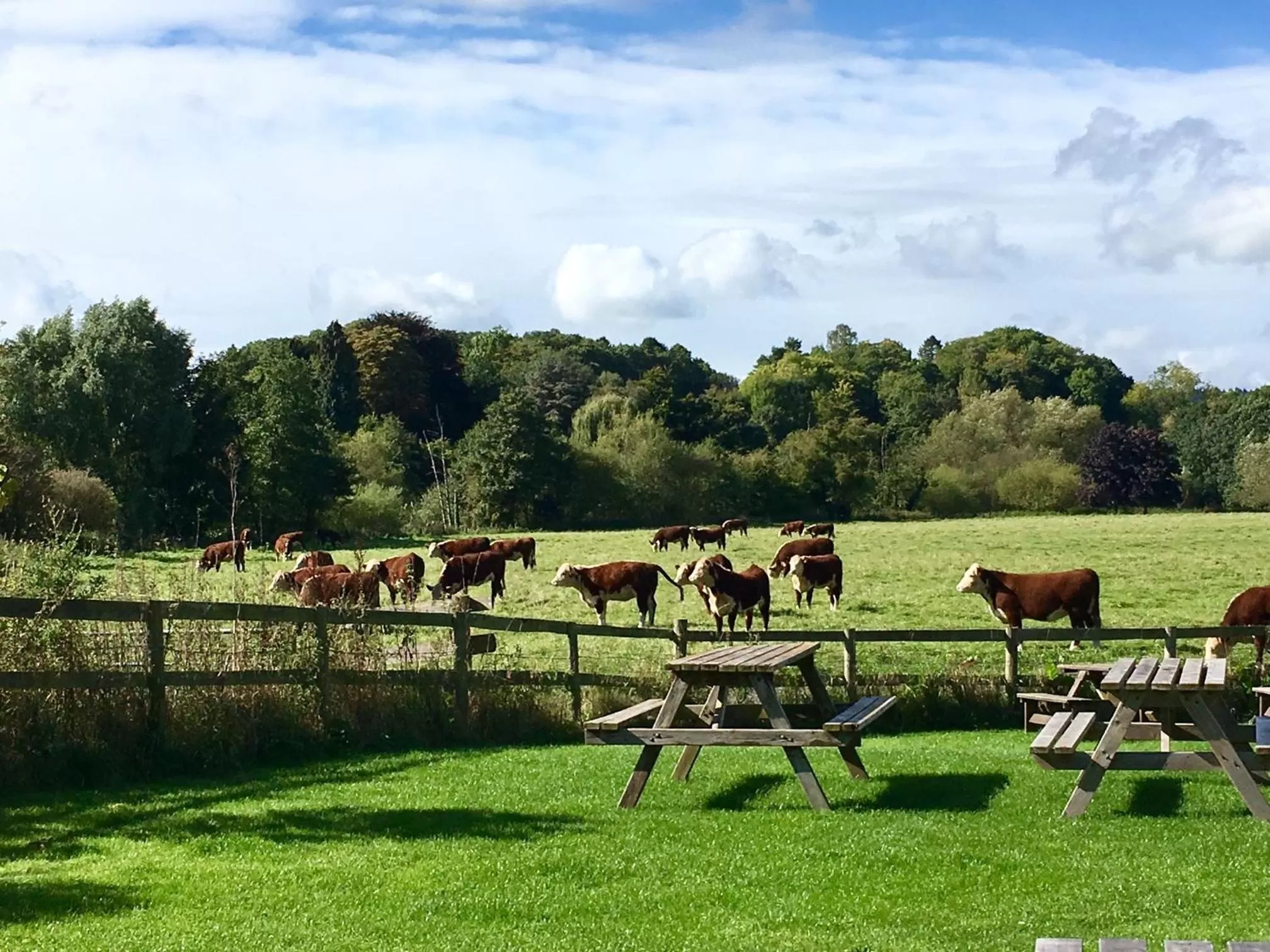 Garden in The Talbot at Knightwick