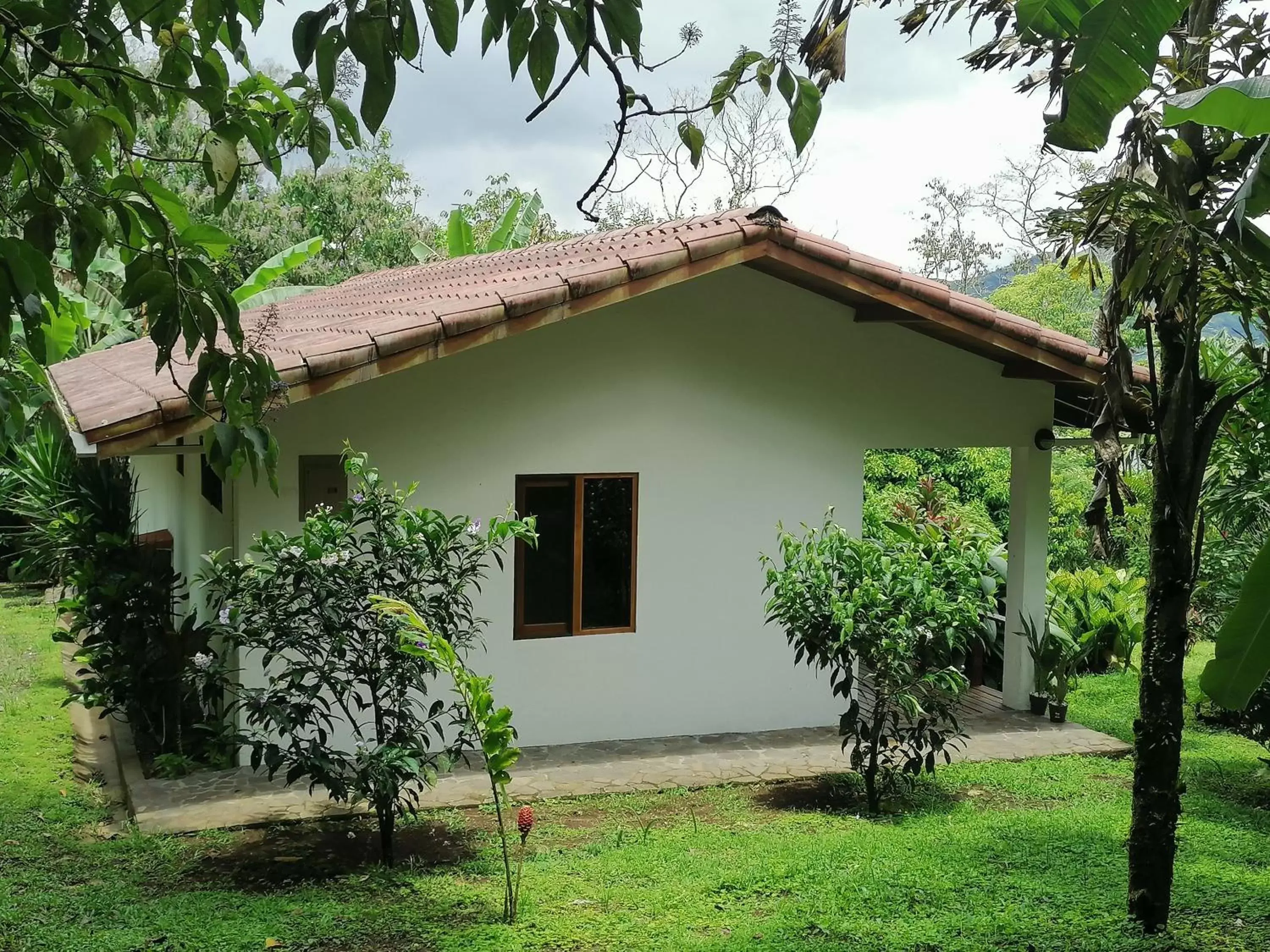 Property Building in La Ceiba Tree Lodge