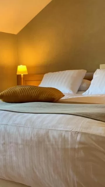 Bed in Hotel La Passerelle