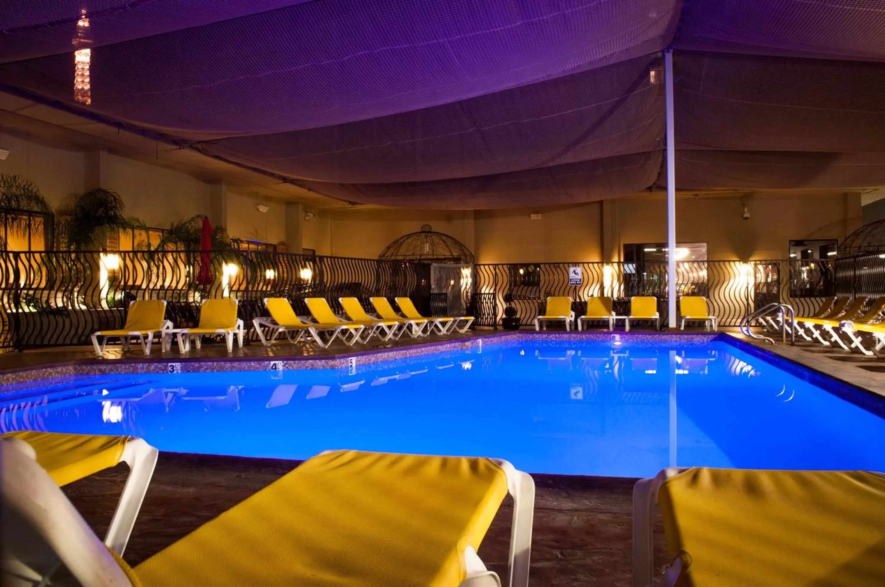 Business facilities, Swimming Pool in Jockey Club Suites