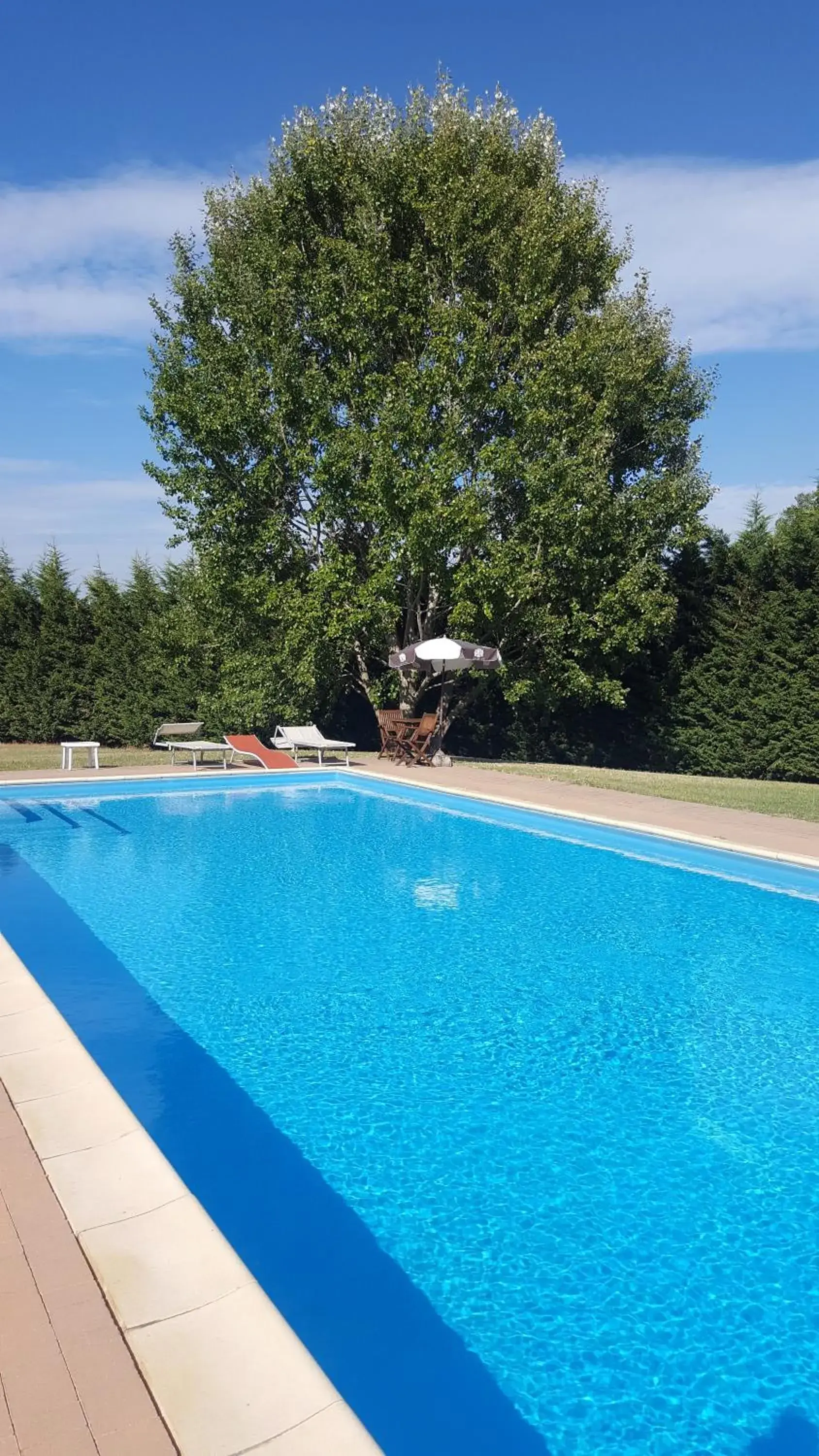Swimming Pool in Eurhotel
