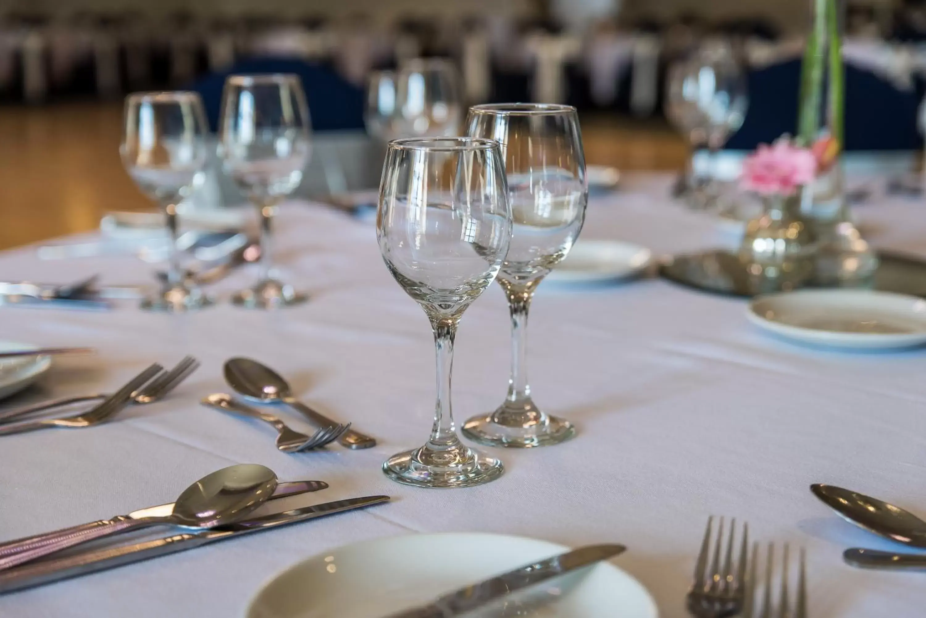 Banquet/Function facilities, Restaurant/Places to Eat in Arklow Bay Hotel and Leisure Club