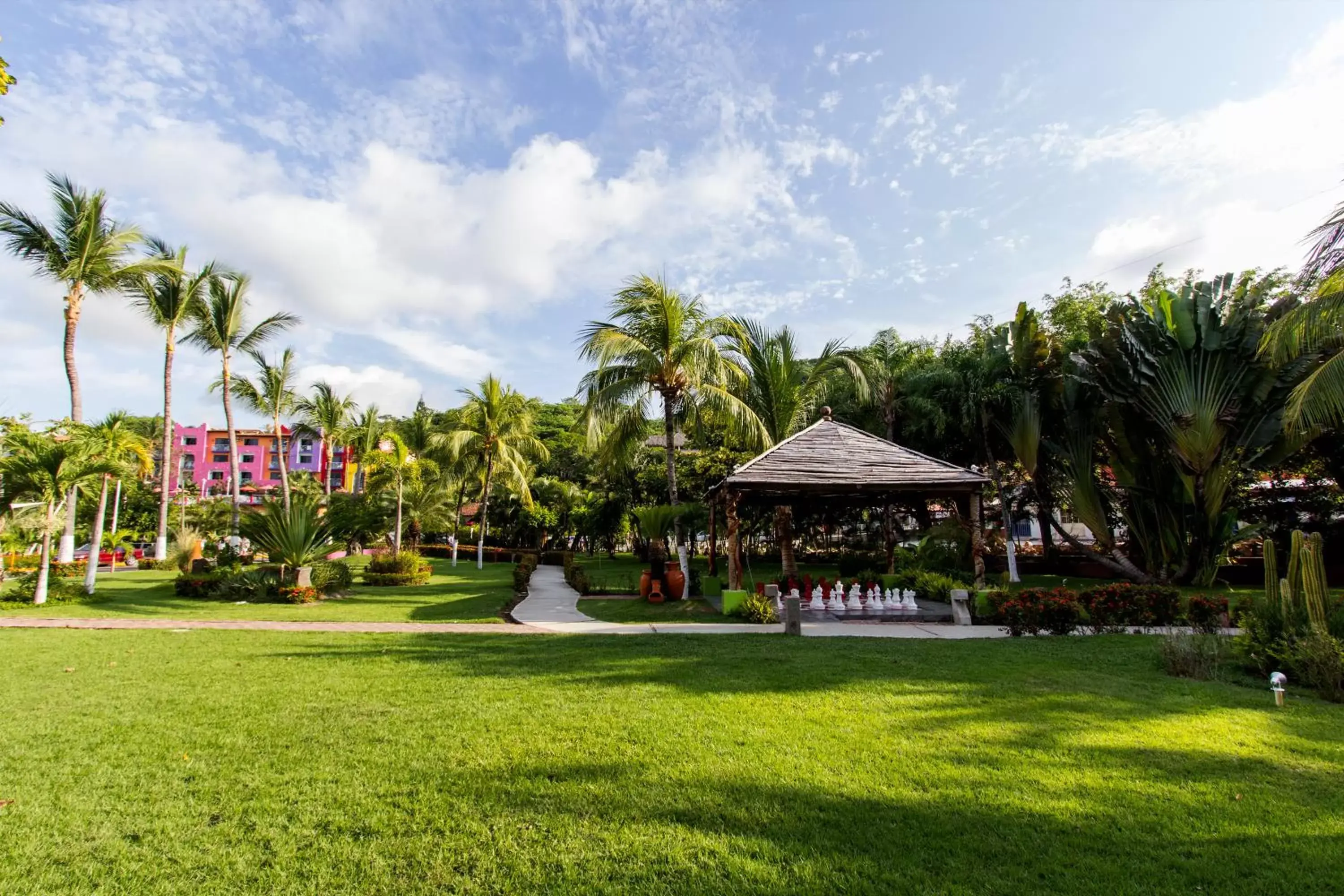 Day, Garden in Decameron Los Cocos - All Inclusive