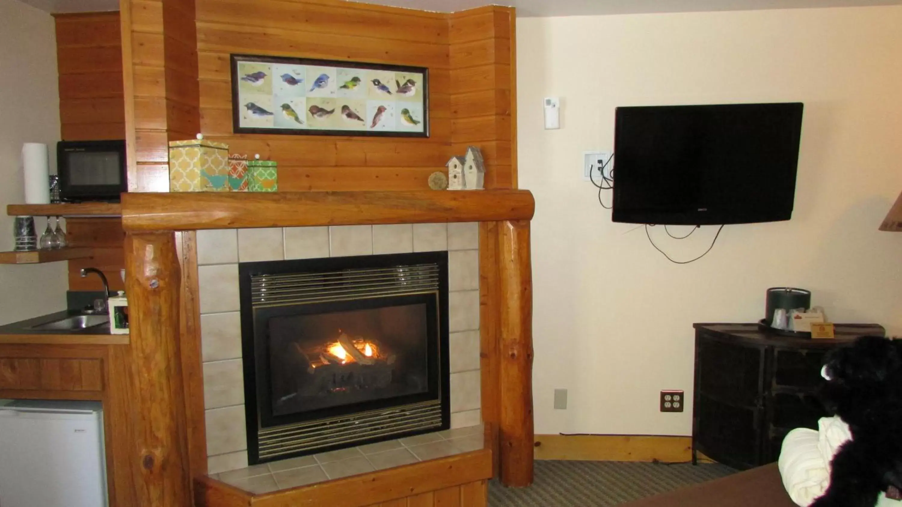 TV/Entertainment Center in Spearfish Canyon Lodge
