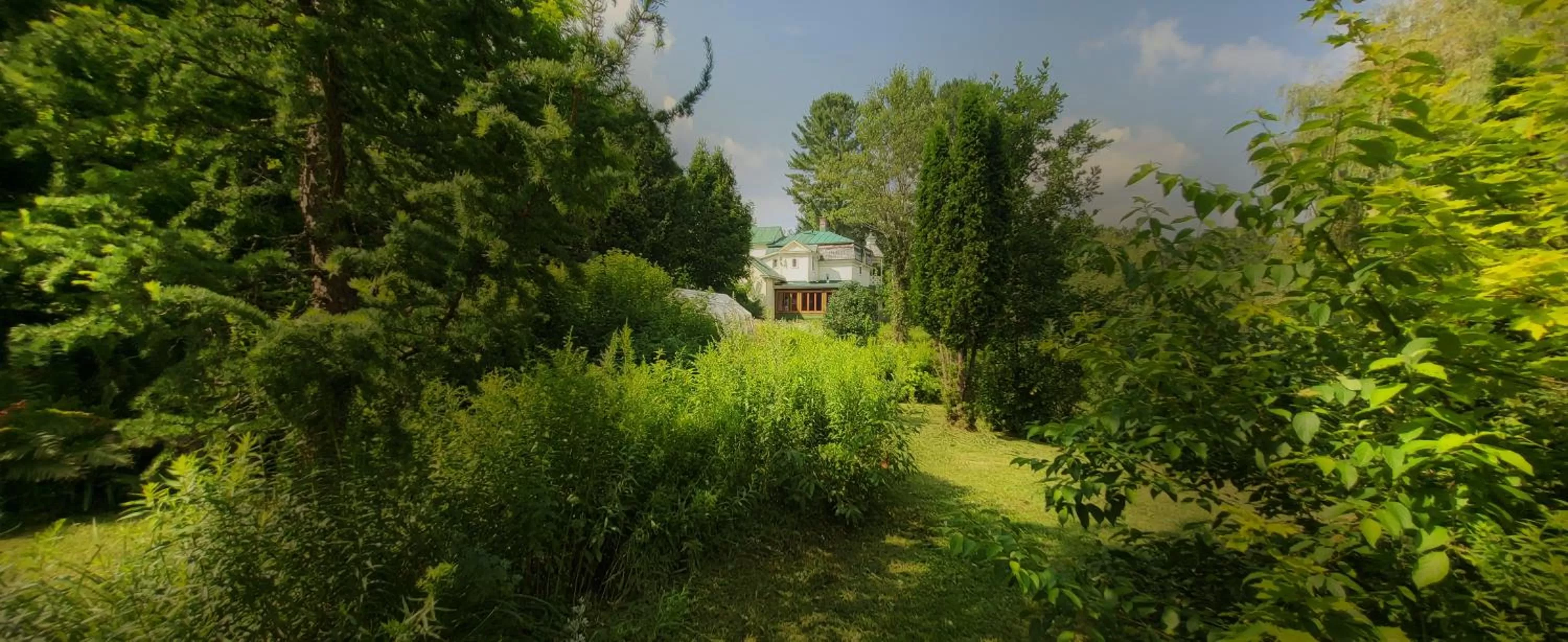 Garden view in Le Salon des Inconnus
