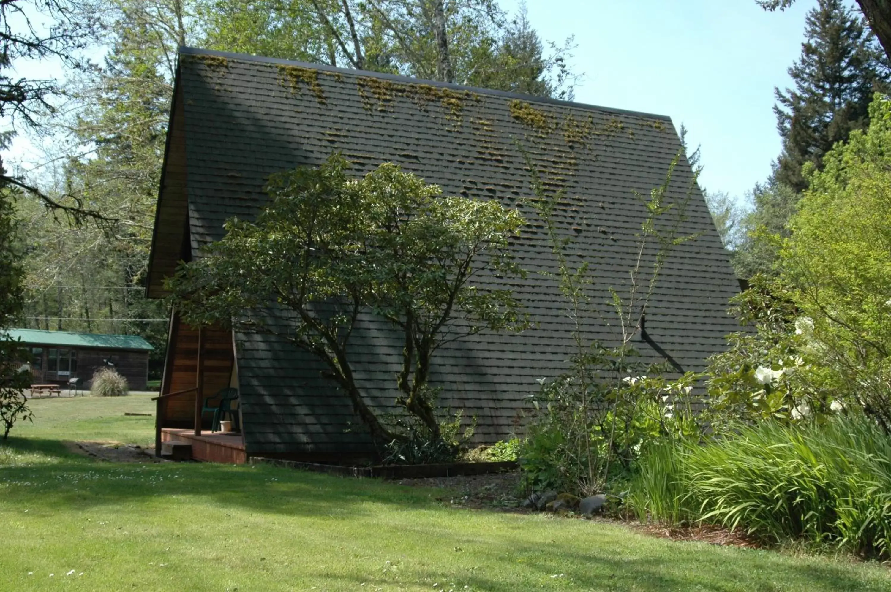 Property Building in Park Motel and Cabins