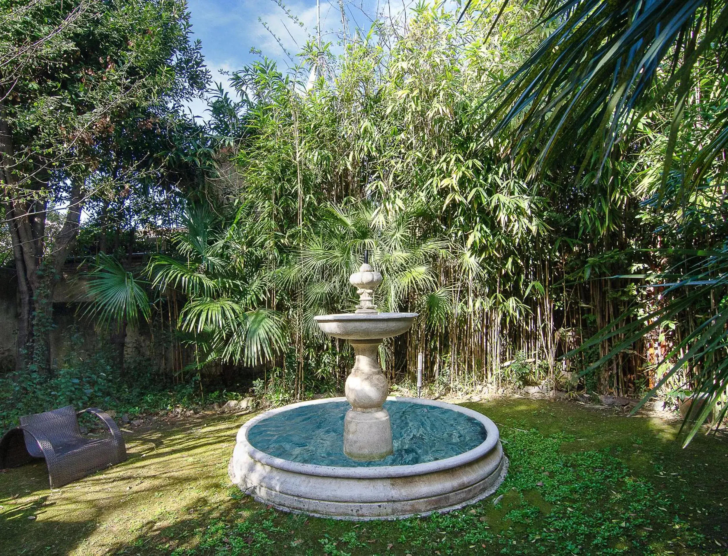 Garden in Hotel Novecento