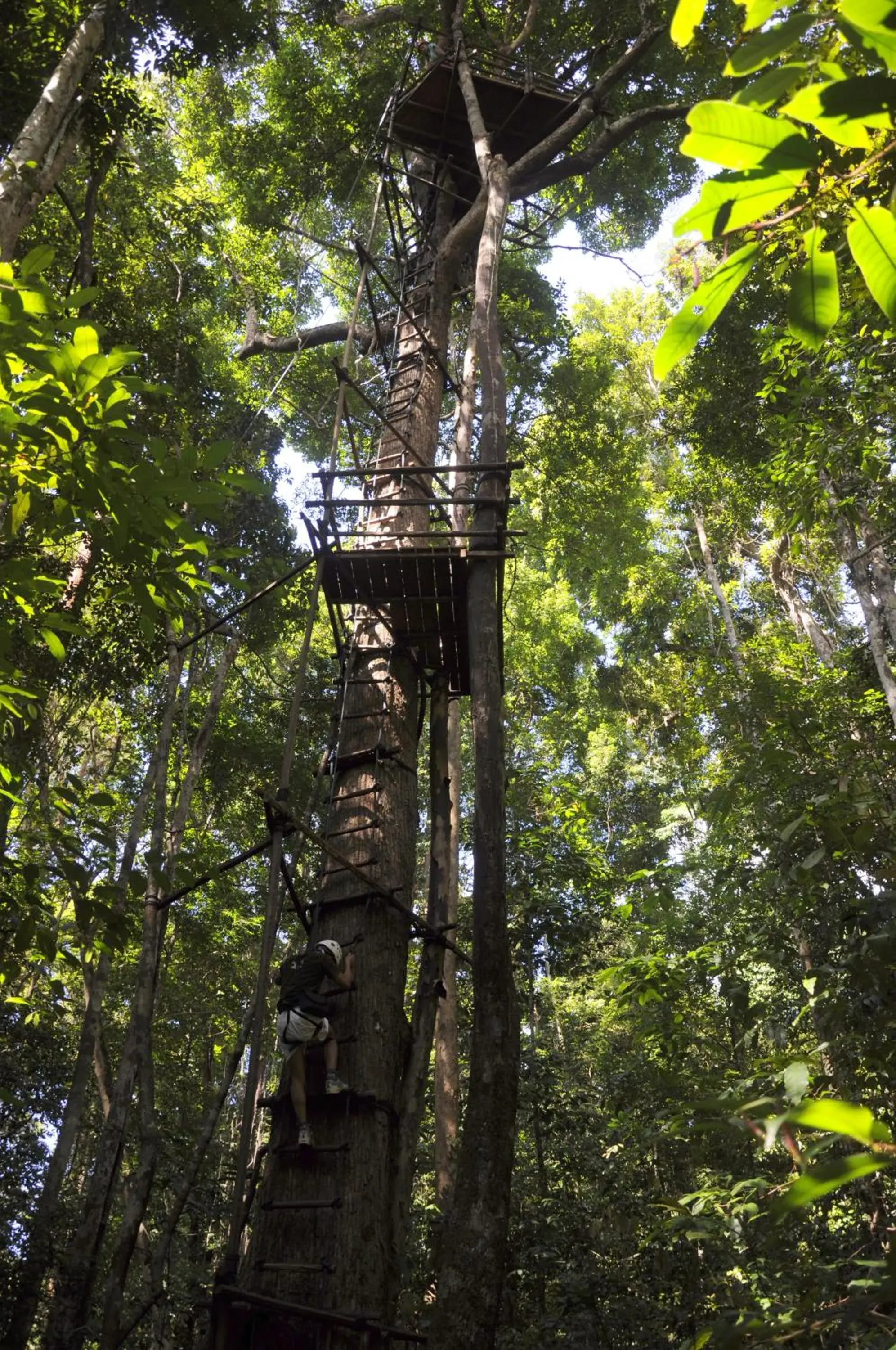 Sports in Permai Rainforest Resort