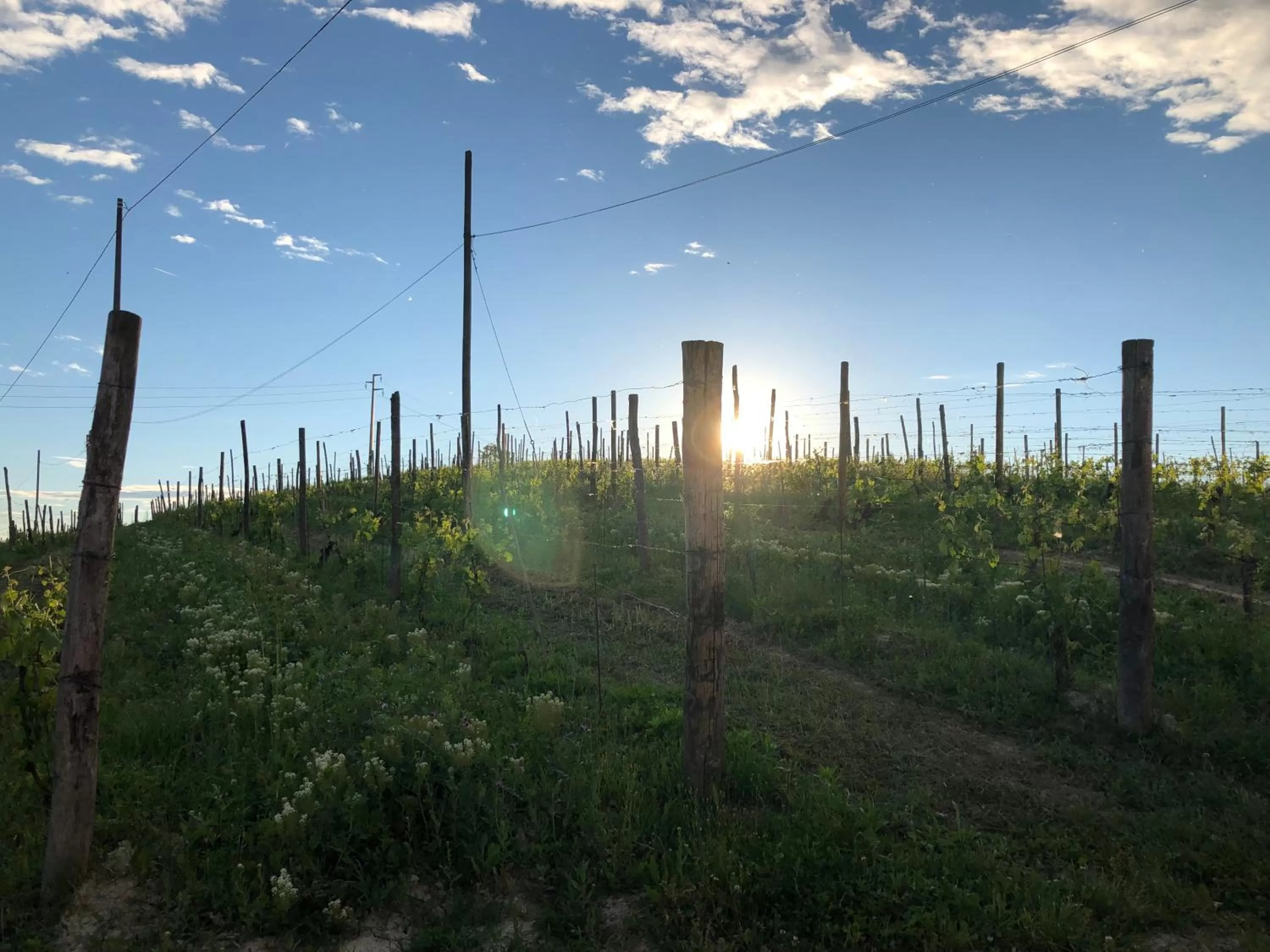 Natural landscape in Villa Vigneto