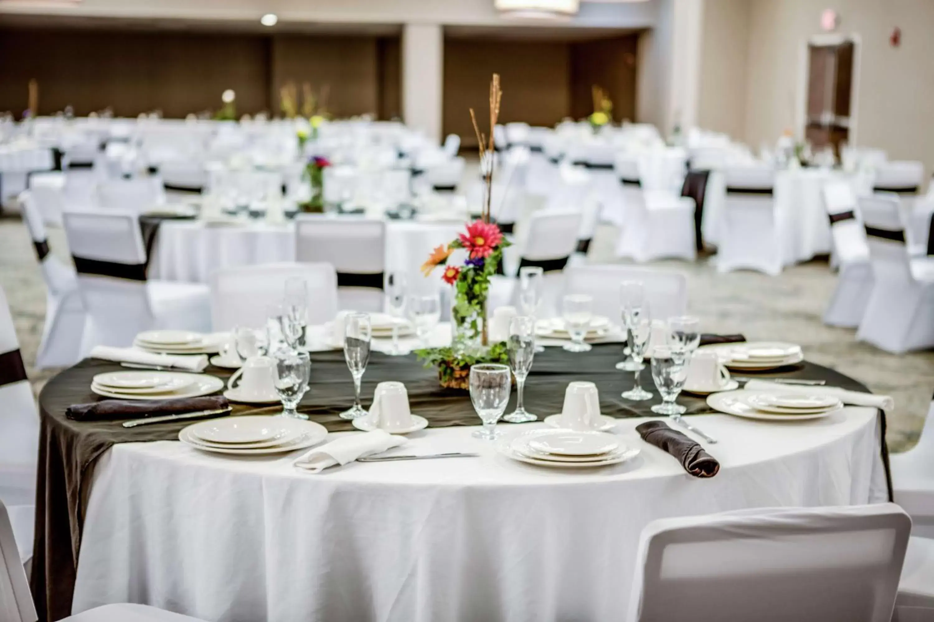 Meeting/conference room, Banquet Facilities in DoubleTree by Hilton Huntington, WV