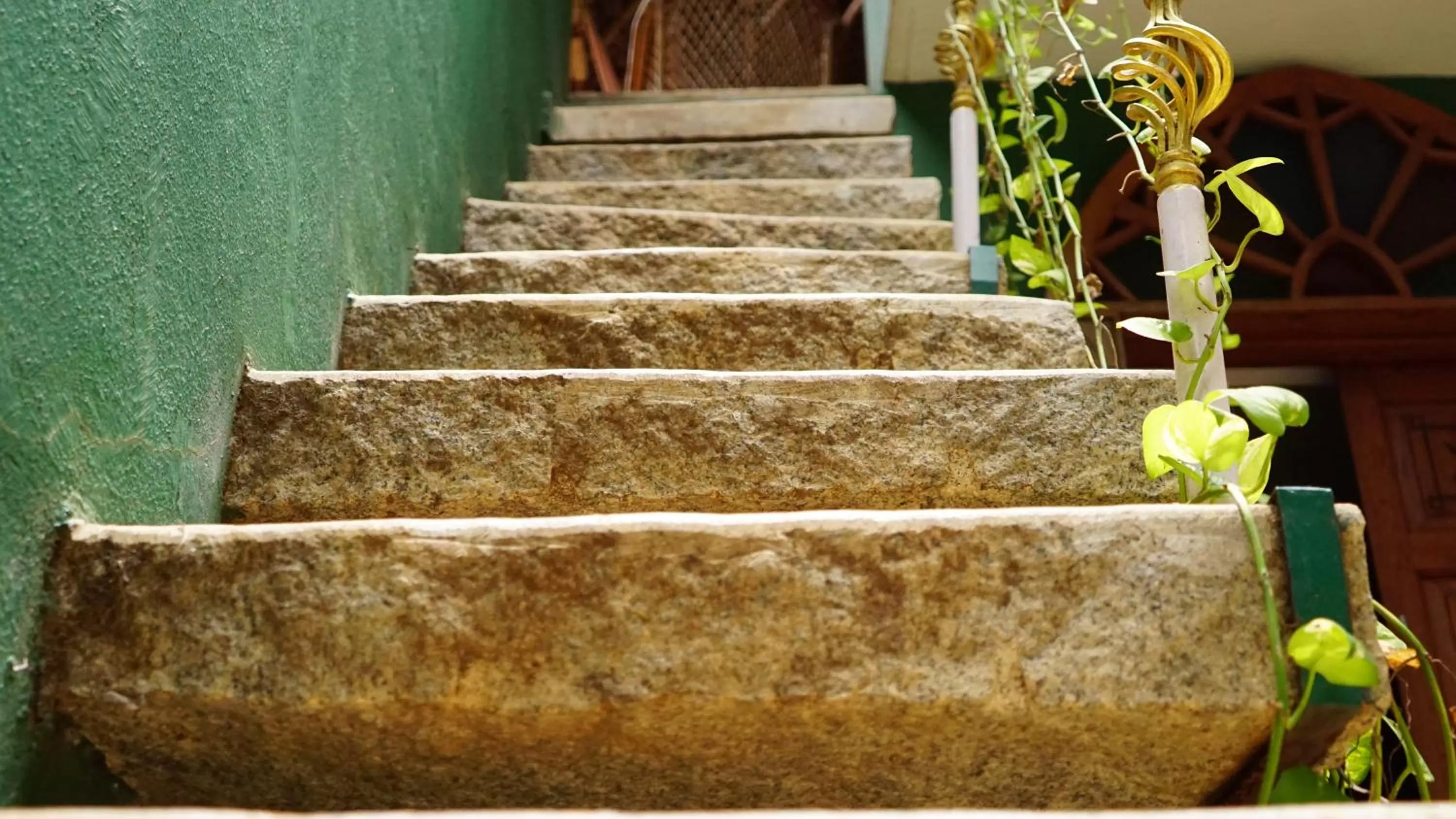 Property building in Green's Guest House