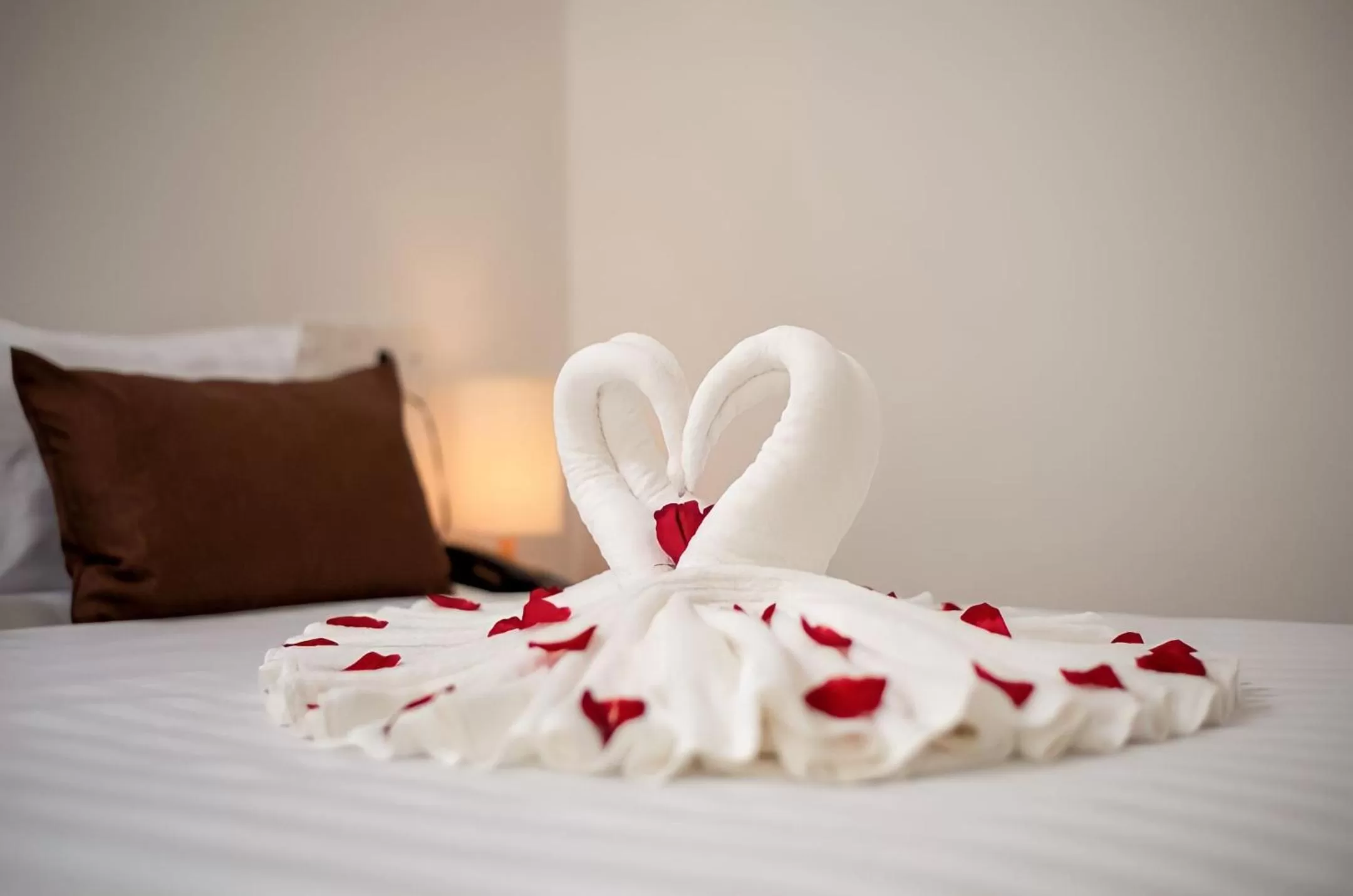 Bed in Tomorrow Oasis Boutique Villa Hoi An