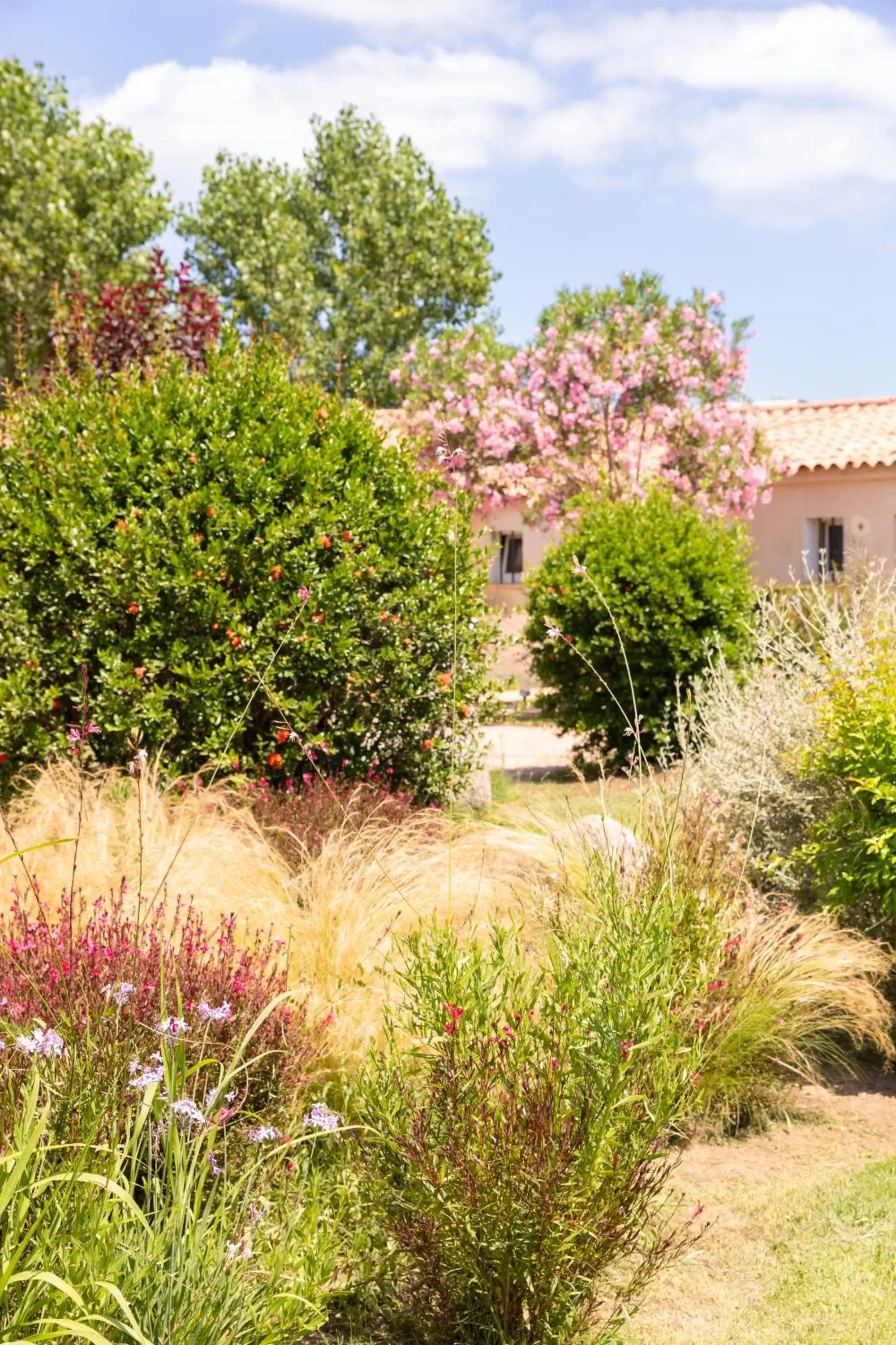 Garden in San Giovanni