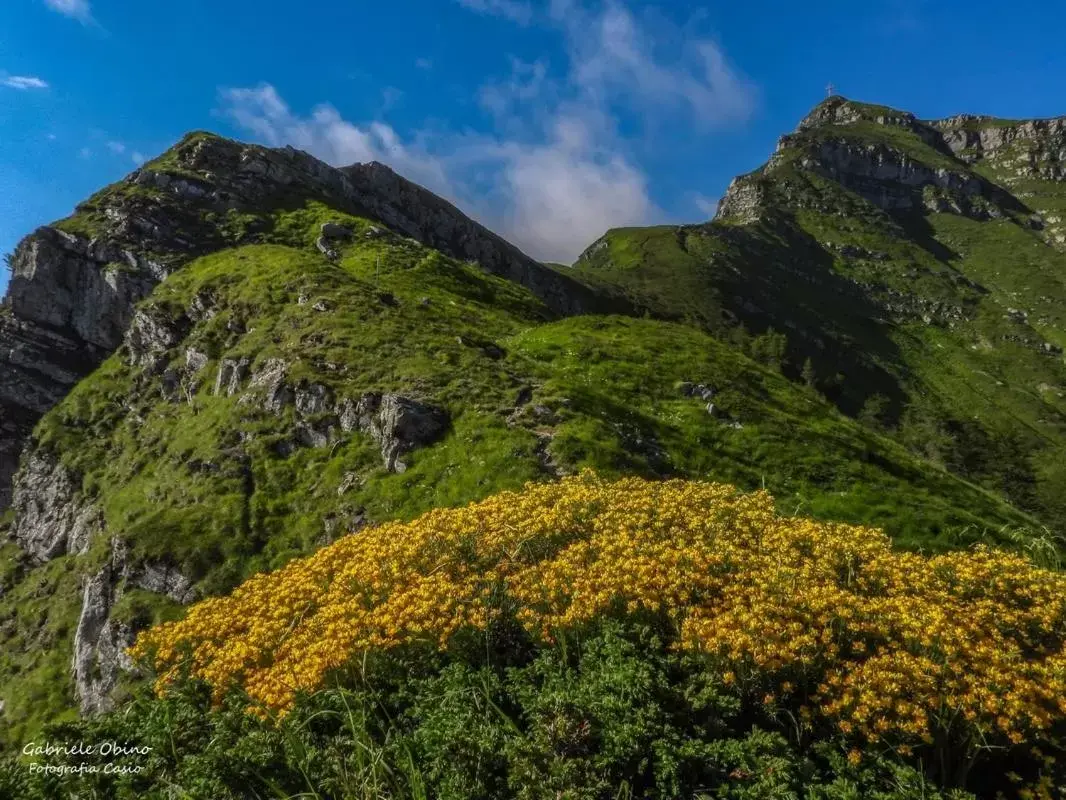 Natural Landscape in Antica Locanda La Posta