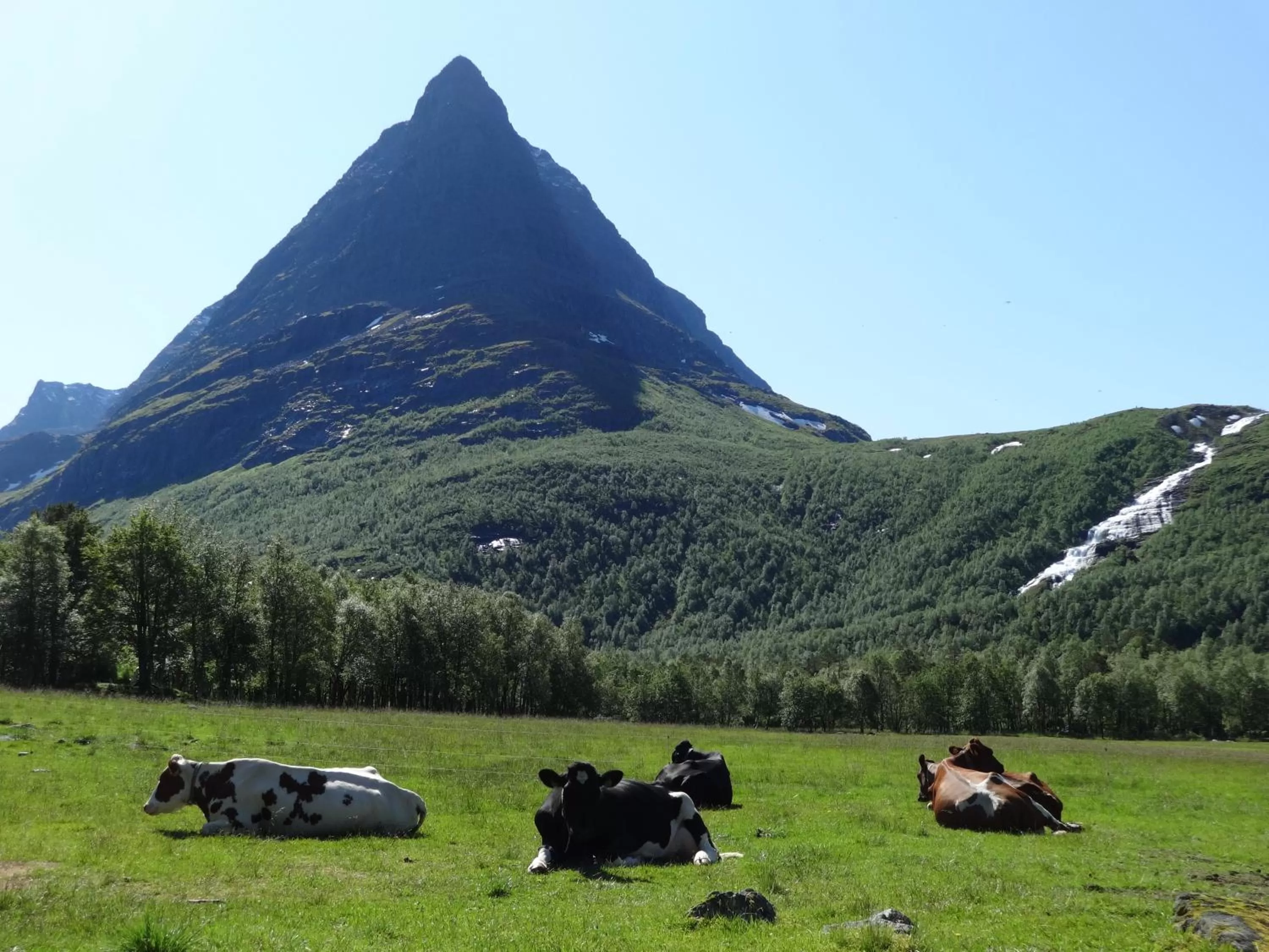 Nearby landmark in Thon Hotel Surnadal