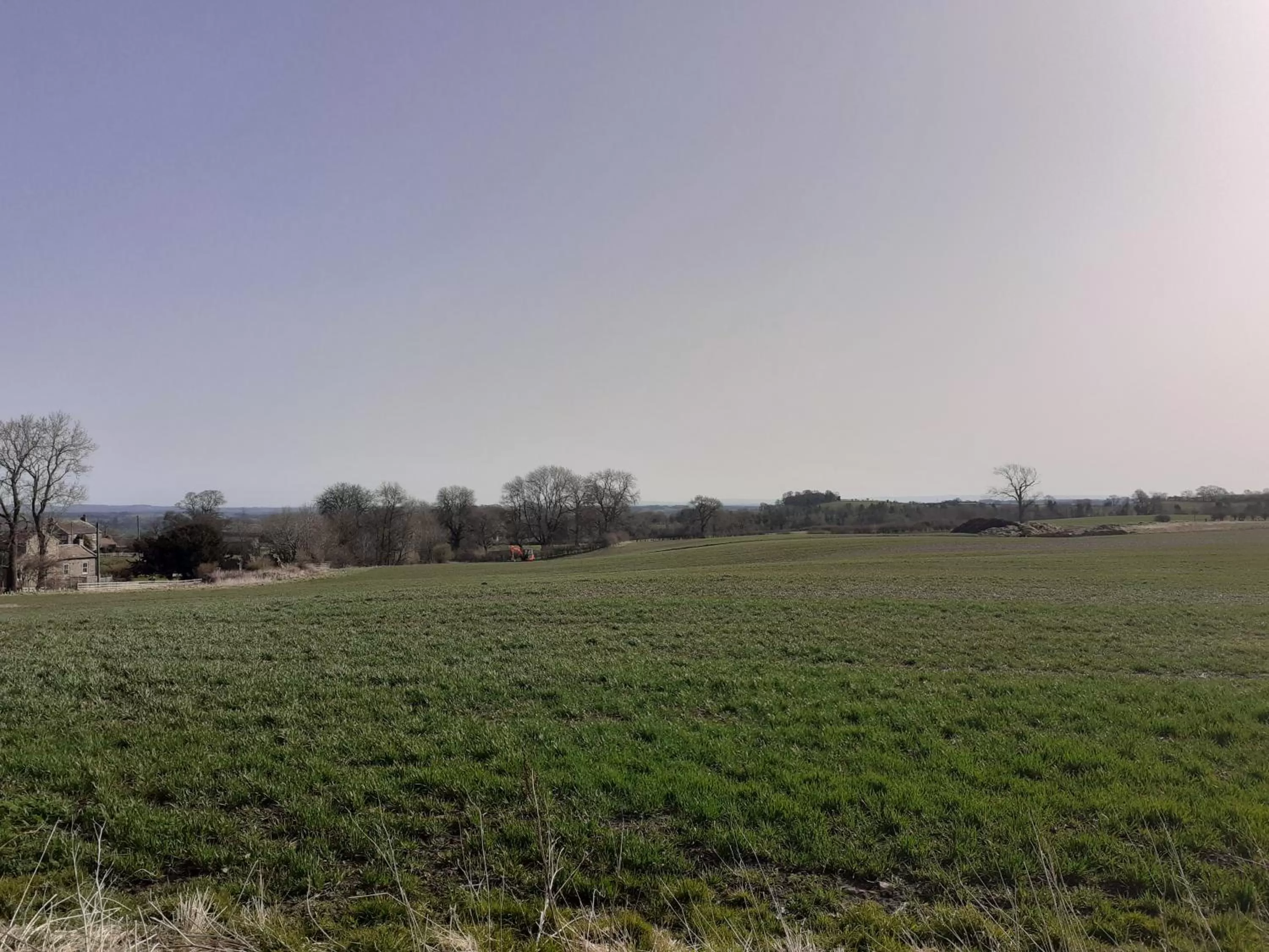 Garden in Lily Hill Farm