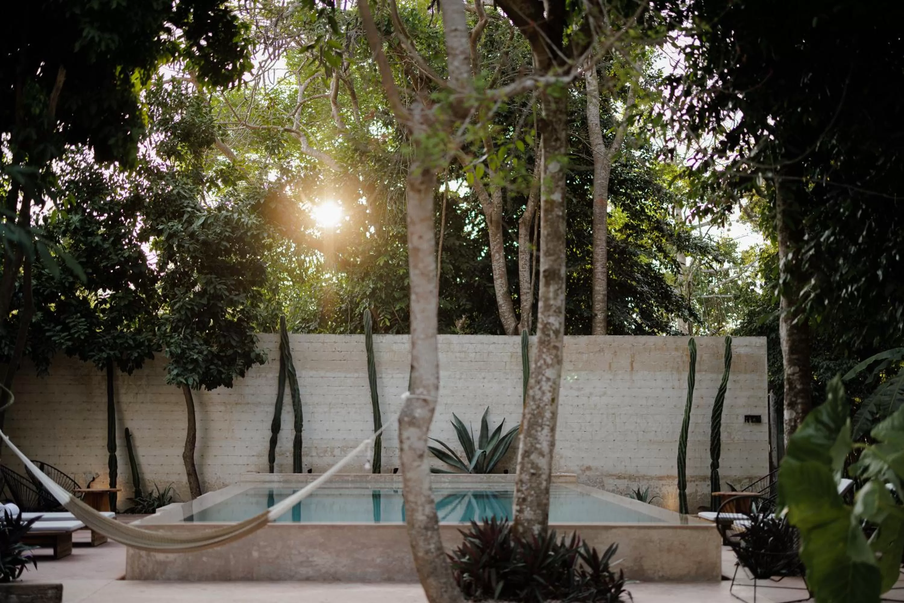 Natural landscape in Casona los Cedros