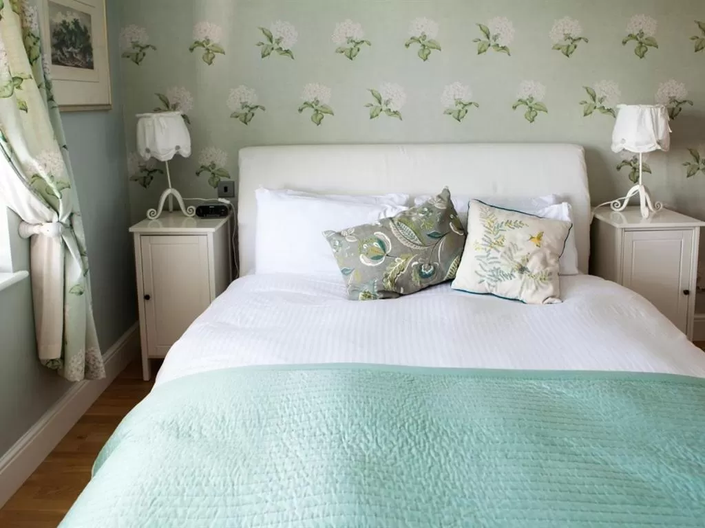 Double Room with Private Bathroom in Birch House Bed & Breakfast