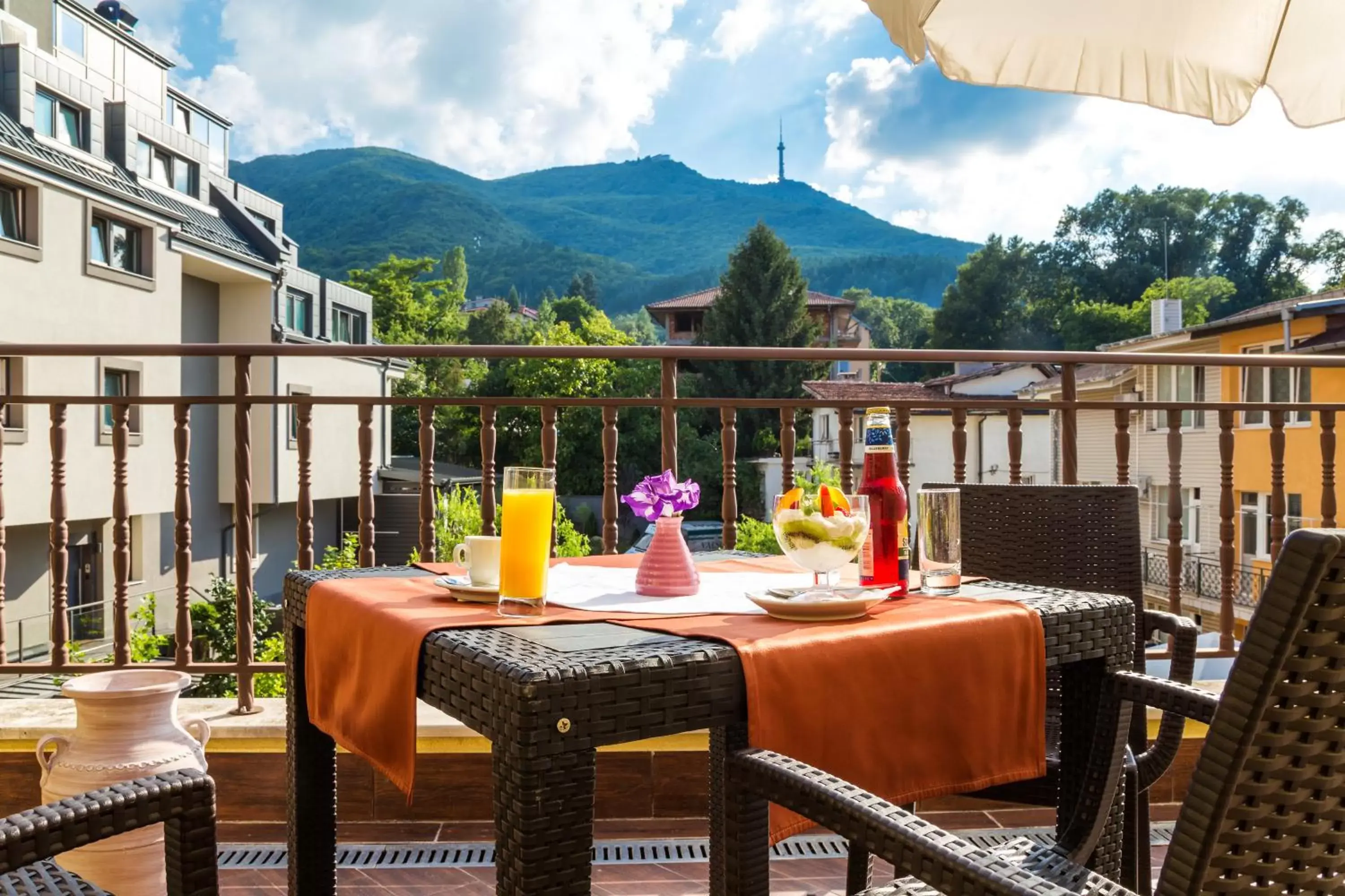 Hotel Villa Boyana - Free Parking Hotel Villa Boyana - Free Parking