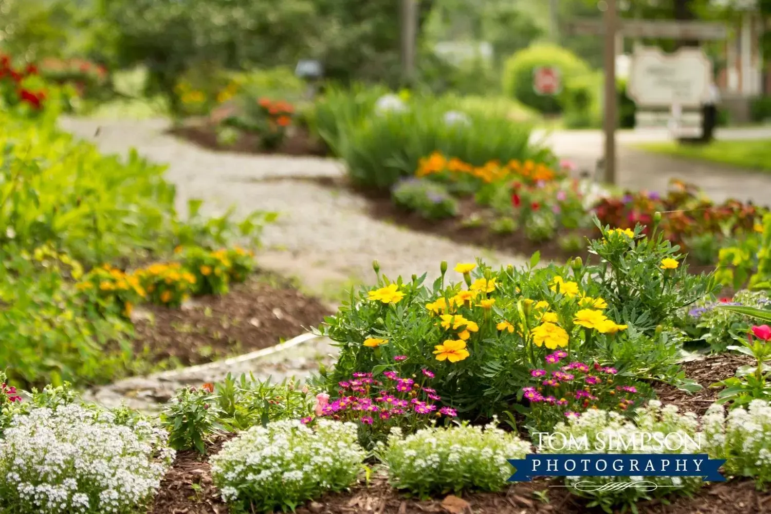 Garden in Willard Richards Inn