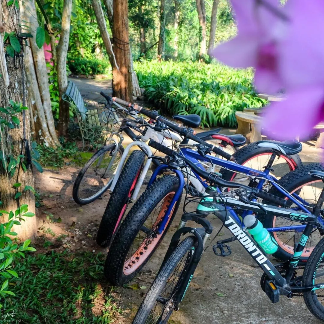 Naturalpark Resort De Wangthong