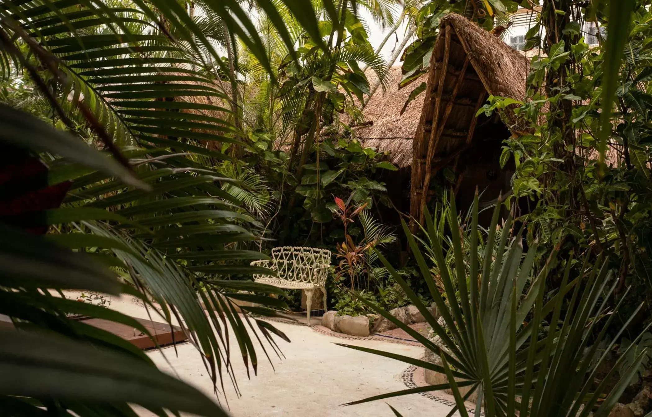 Garden in Hotel Colibri Beach