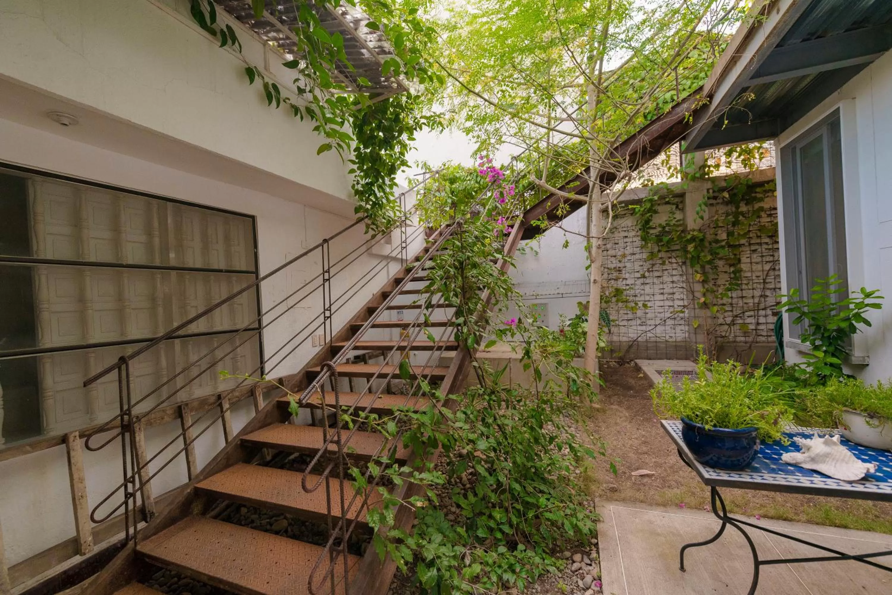 Patio in Hotel Boutique Casa Rosalía